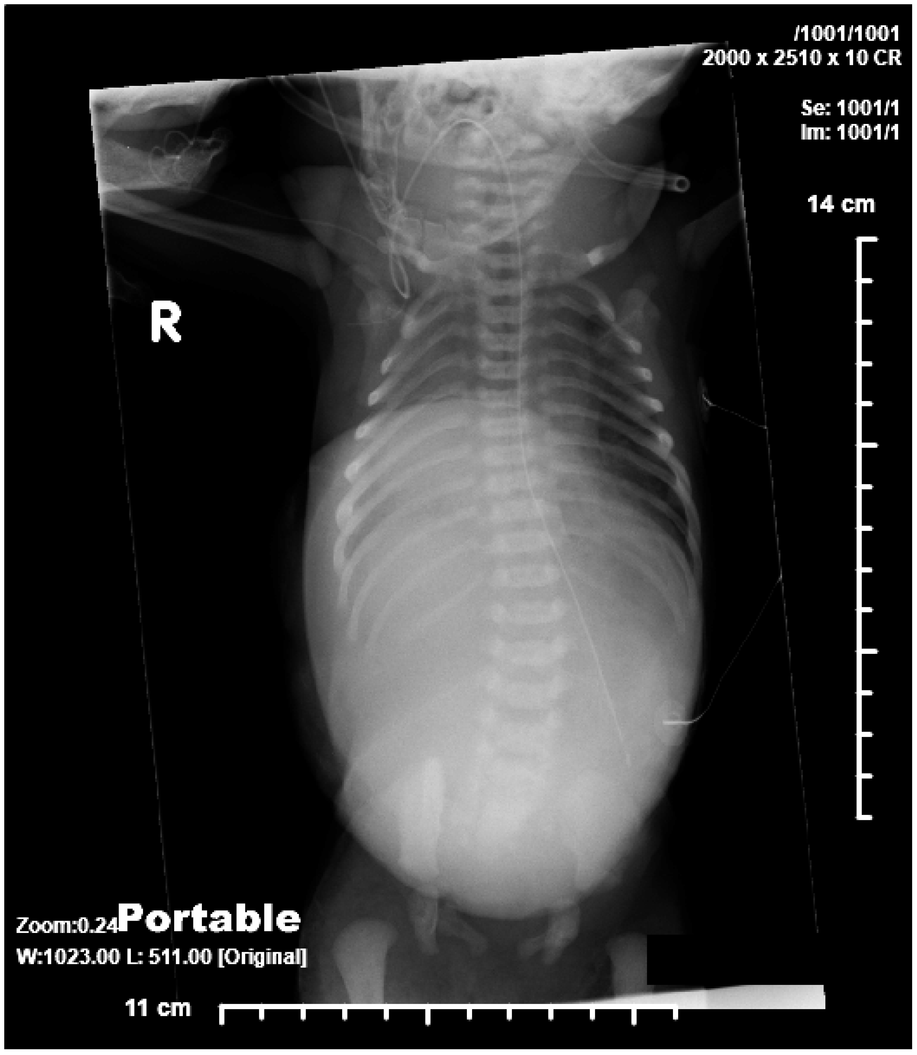 Children 06 00109 g001 Children 06 00109 g001