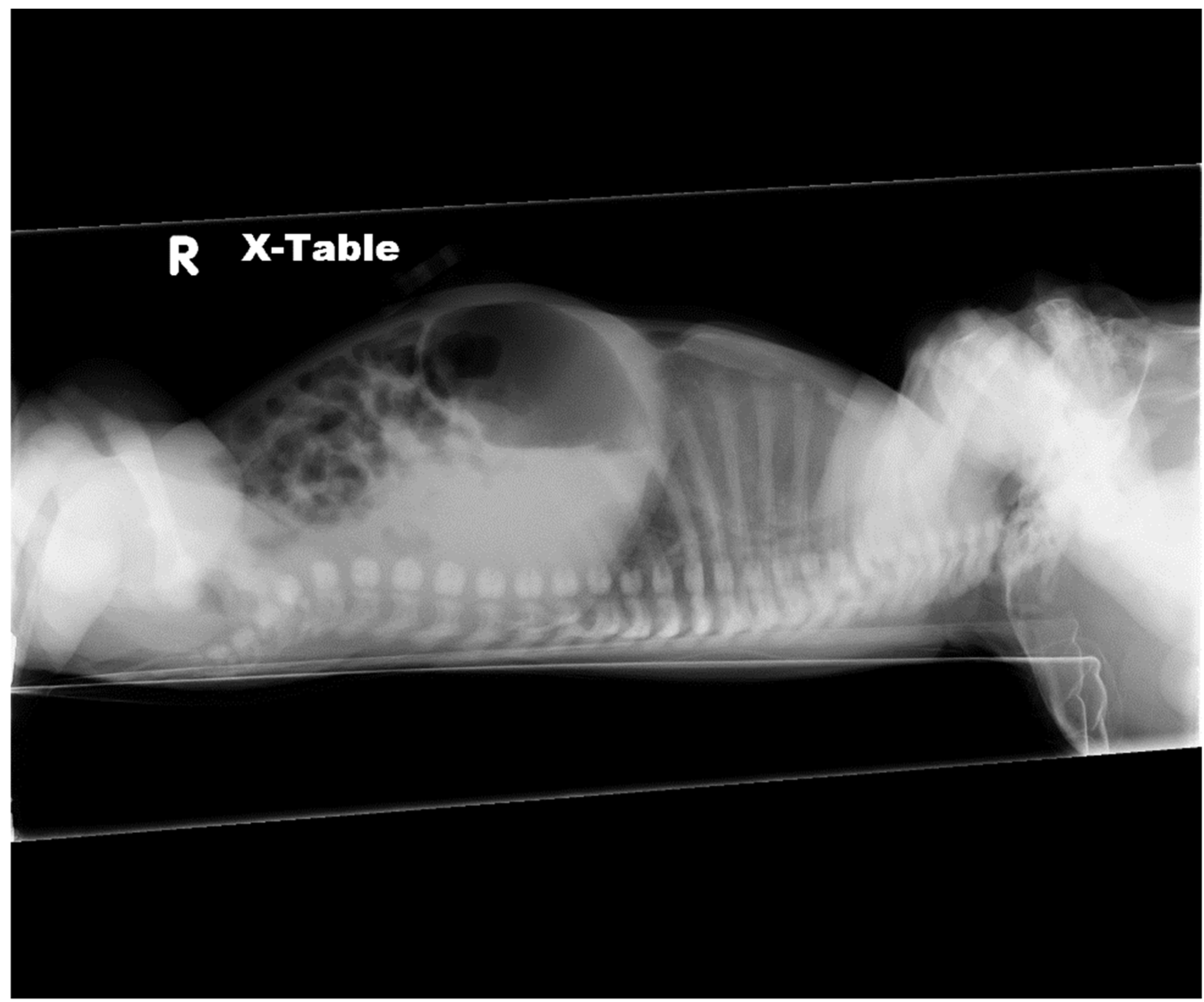 Children 06 00109 g004 Children 06 00109 g004