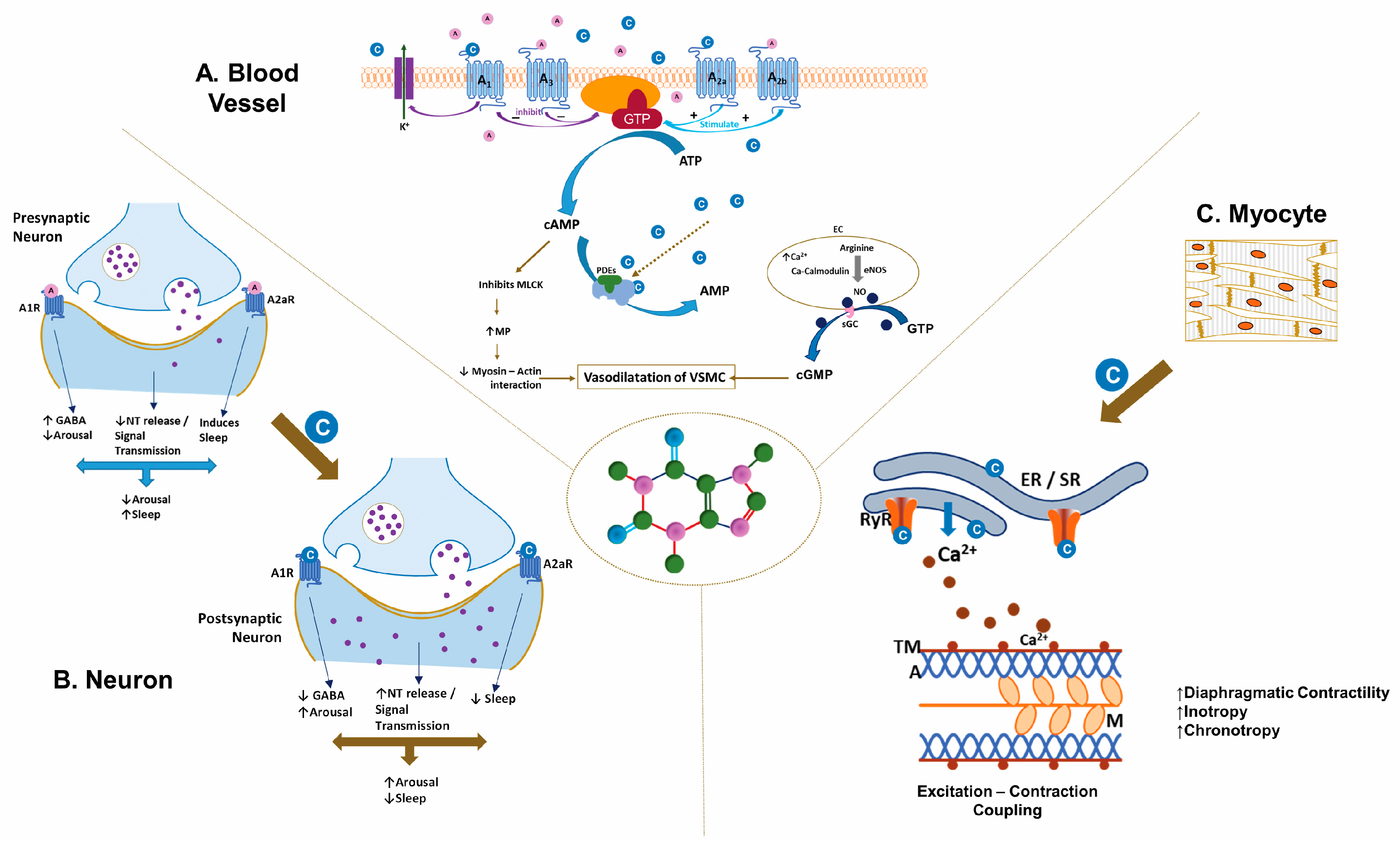 Children 06 00118 g001