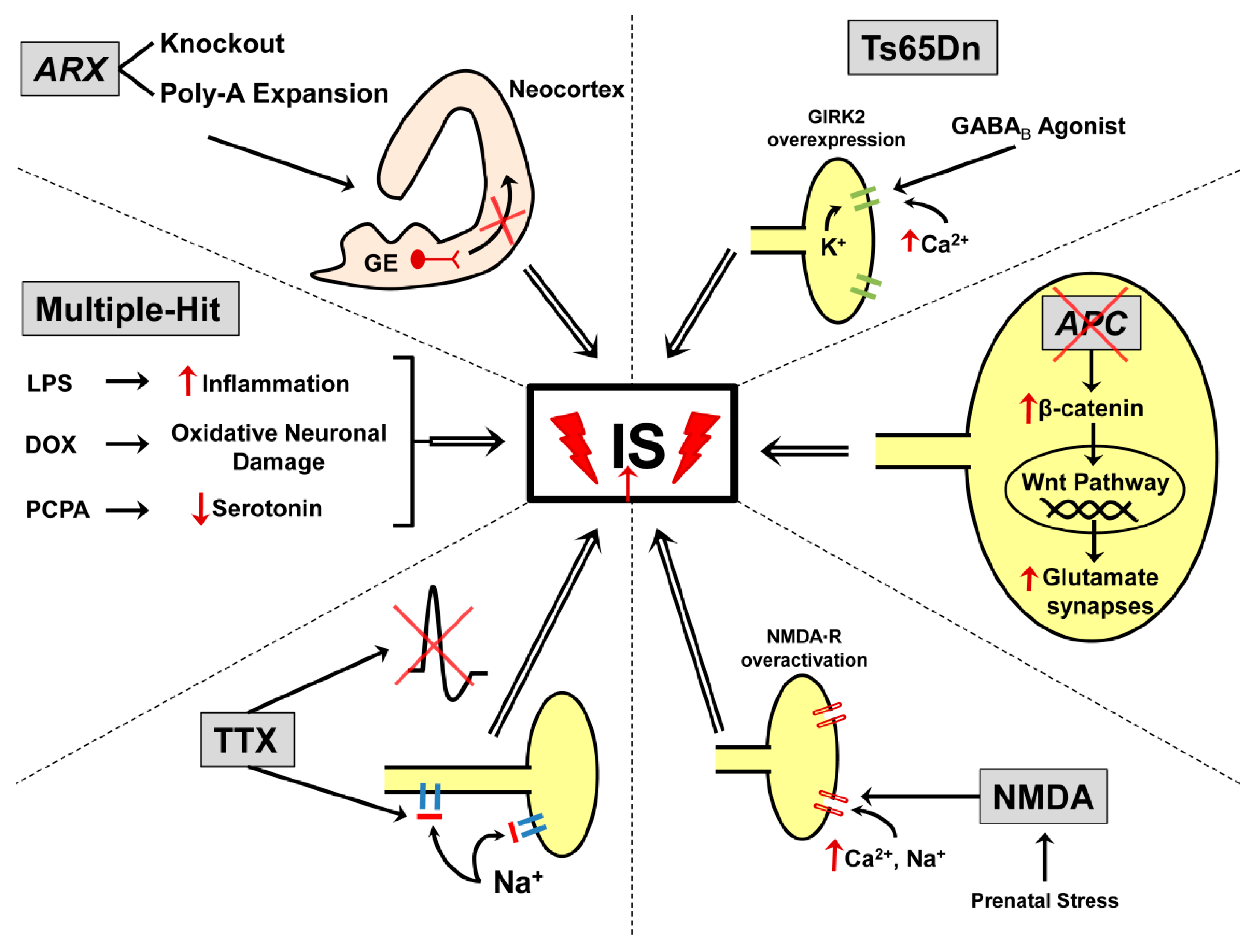 Children 07 00005 g001