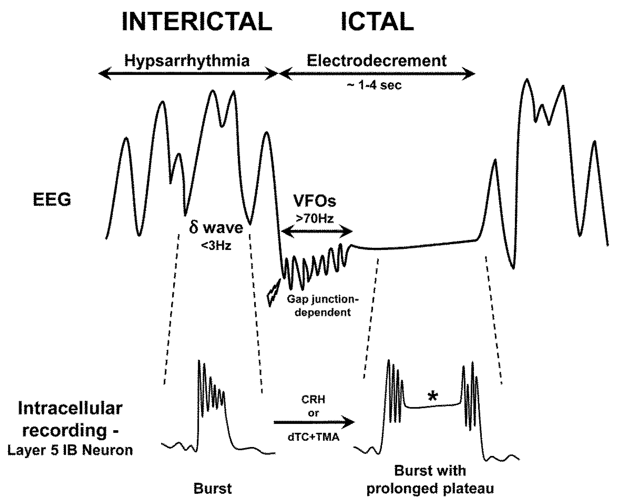 Children 07 00005 g002