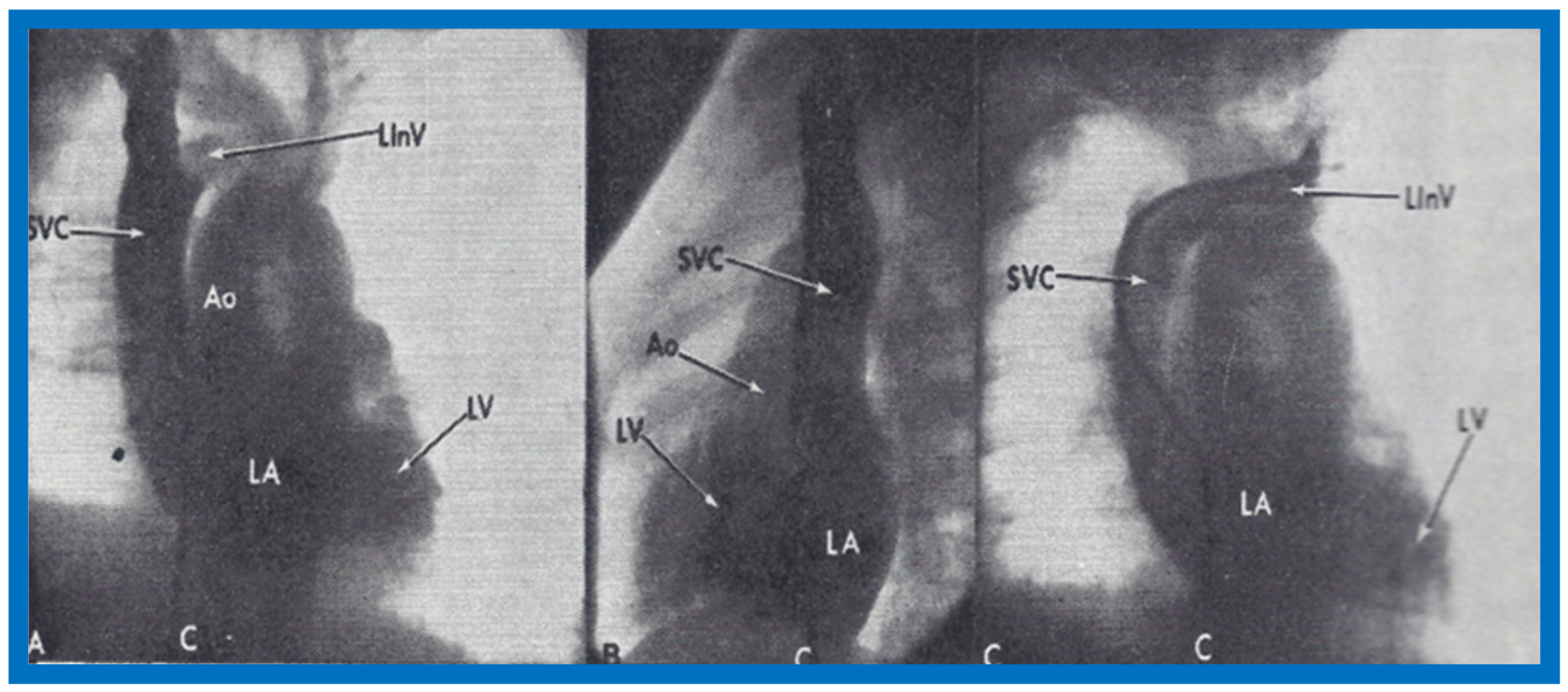 Children 07 00032 g006