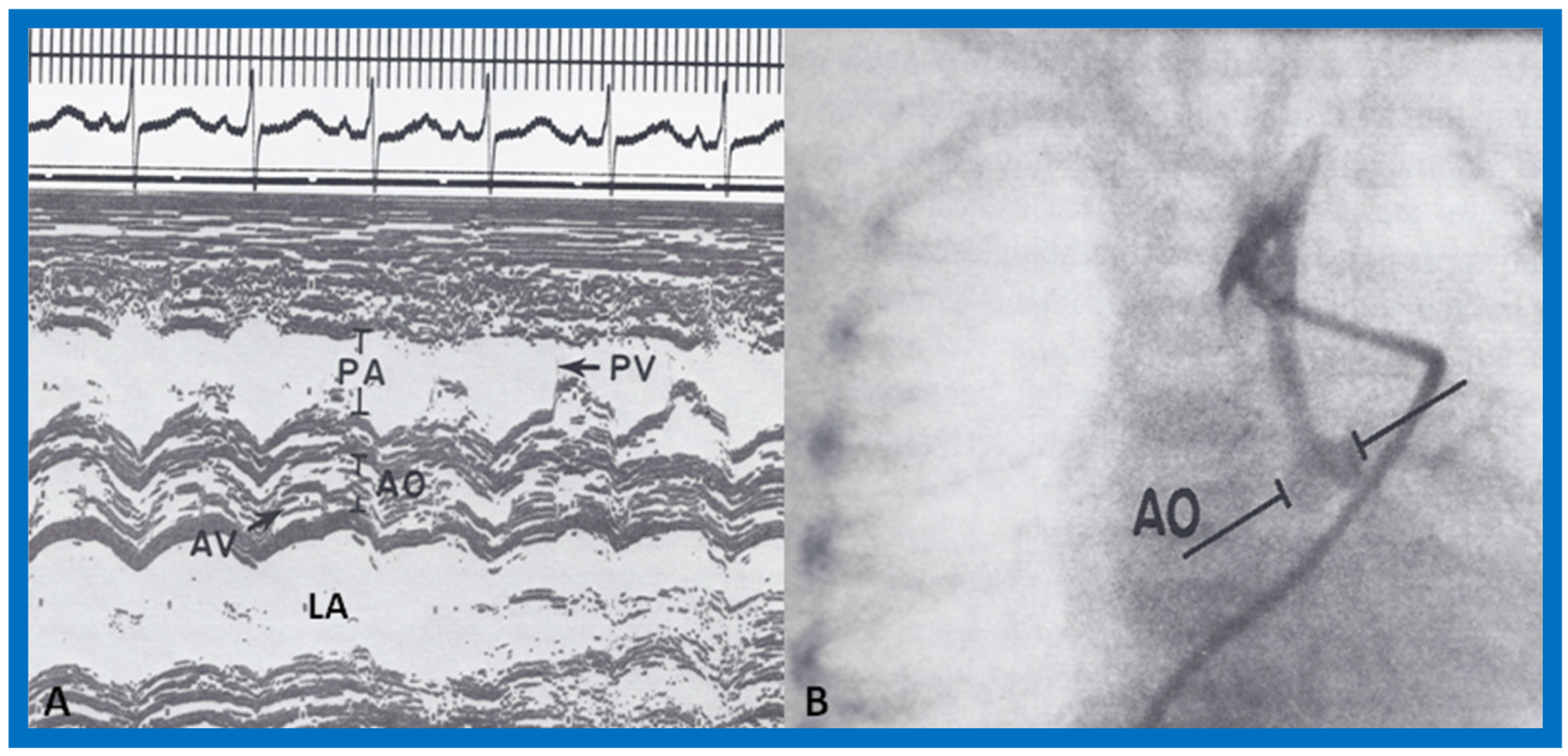 Children 07 00032 g010