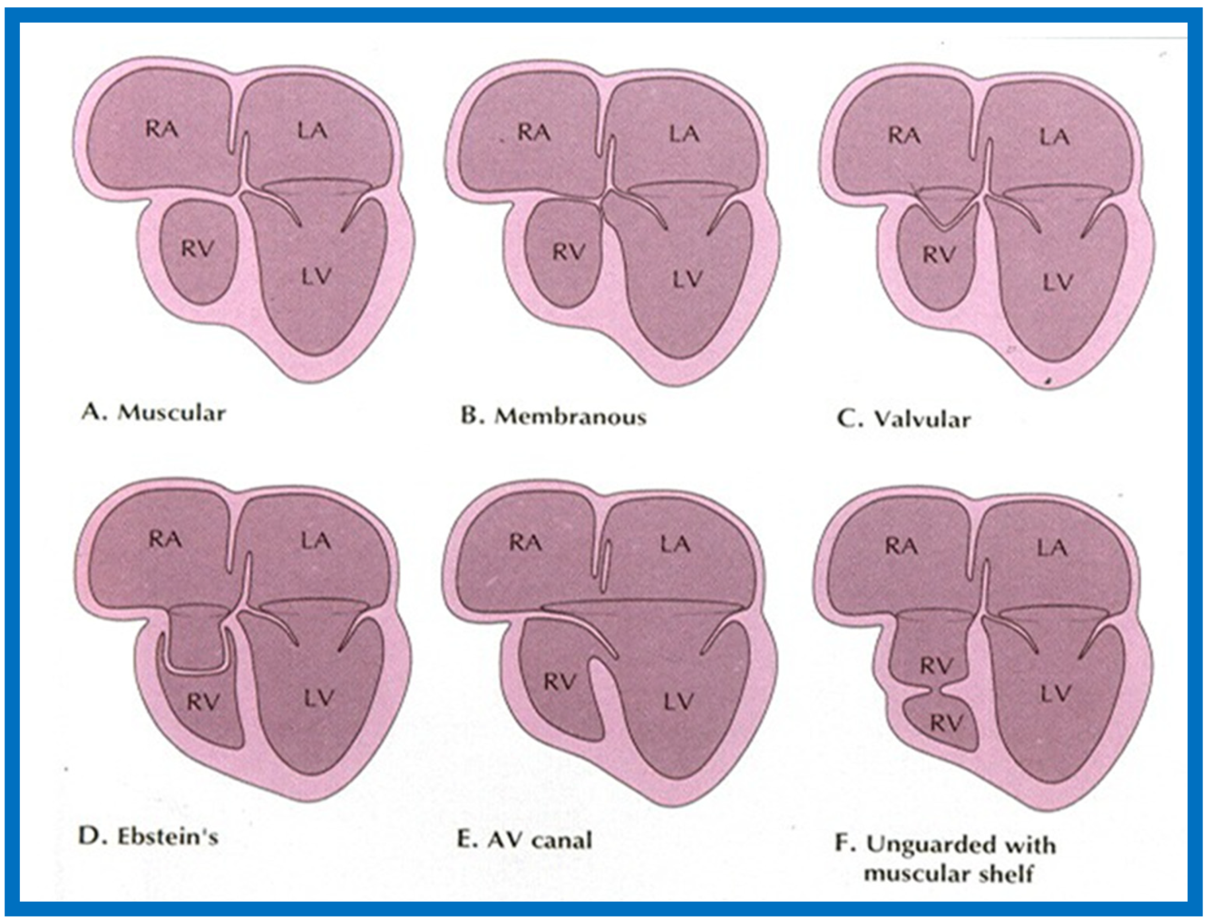 Children 07 00032 g018