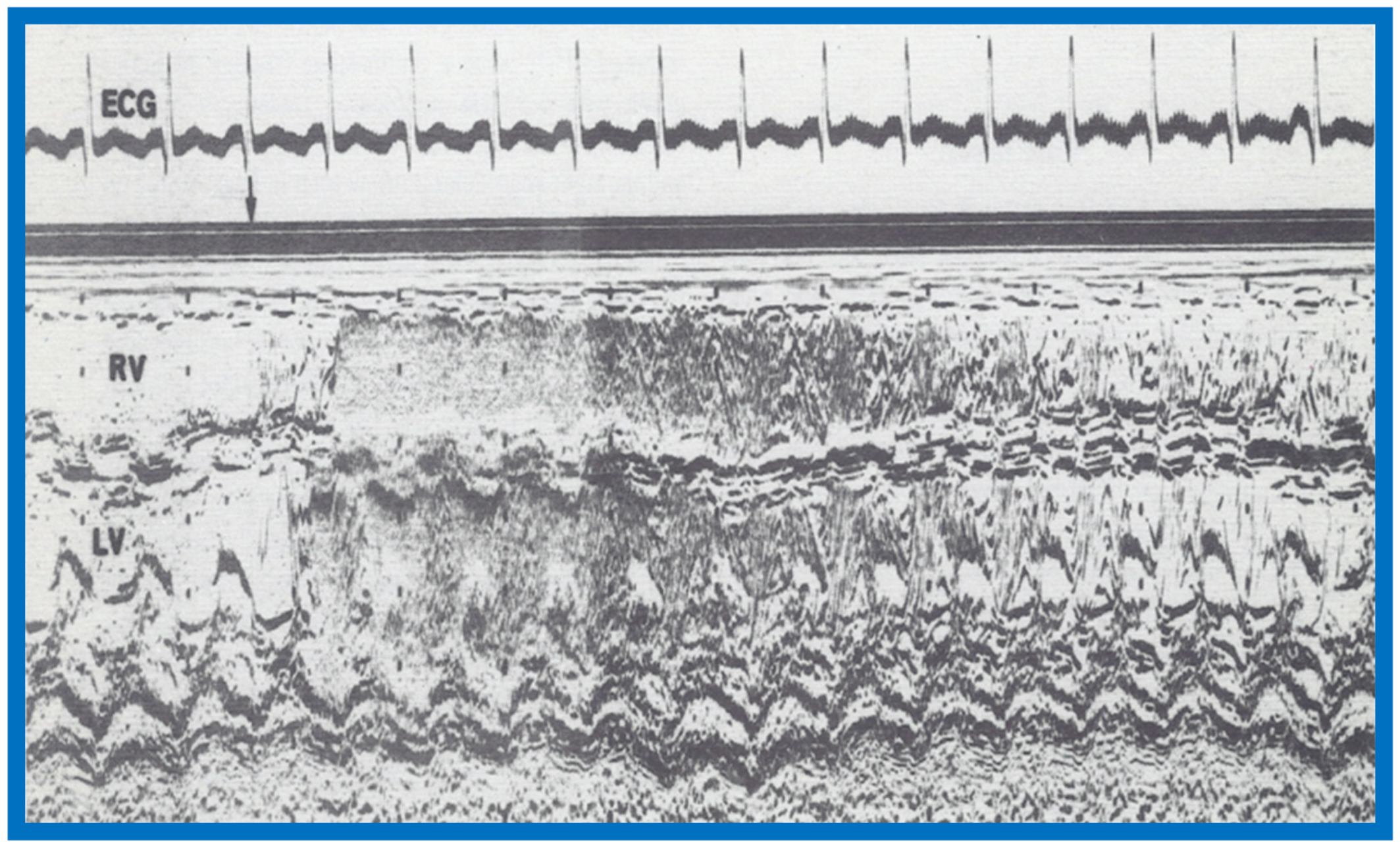 Children 07 00032 g028