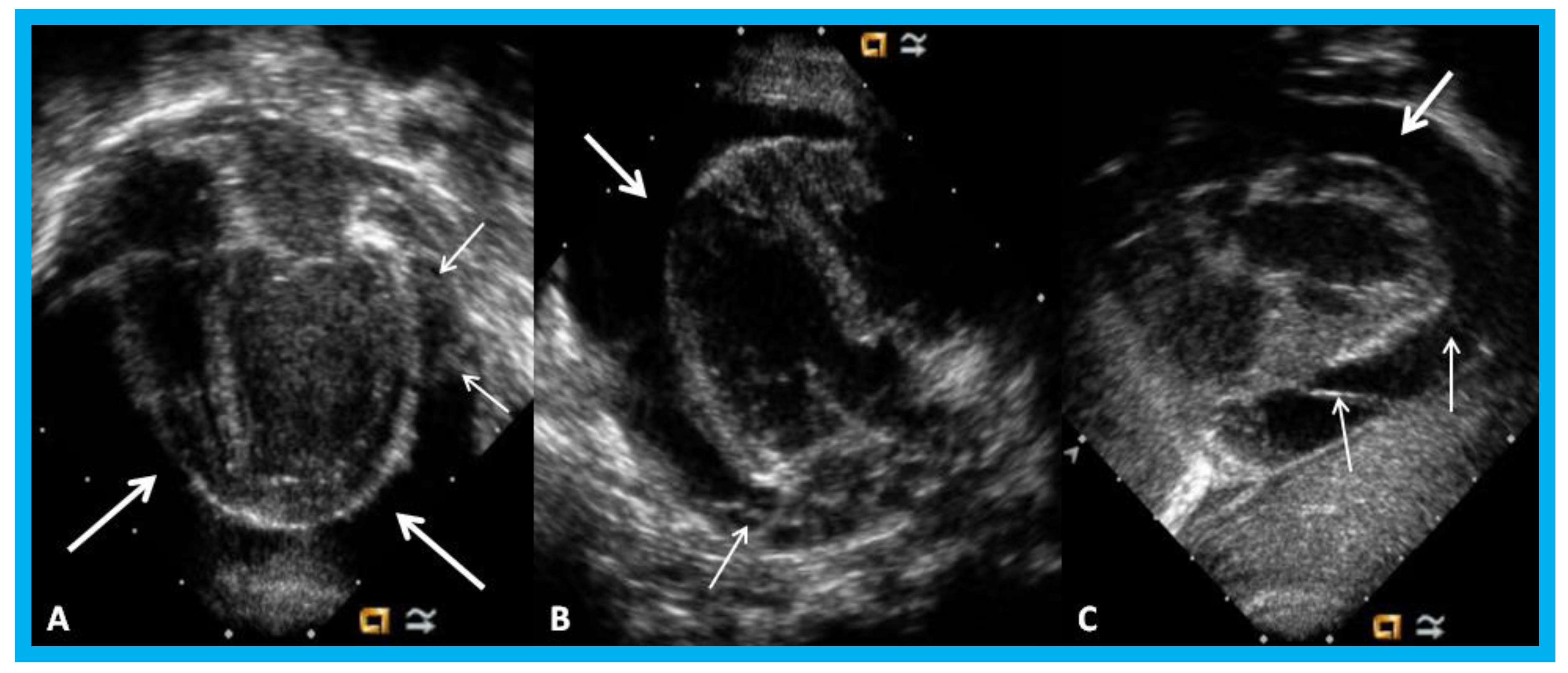 Children 07 00034 g030