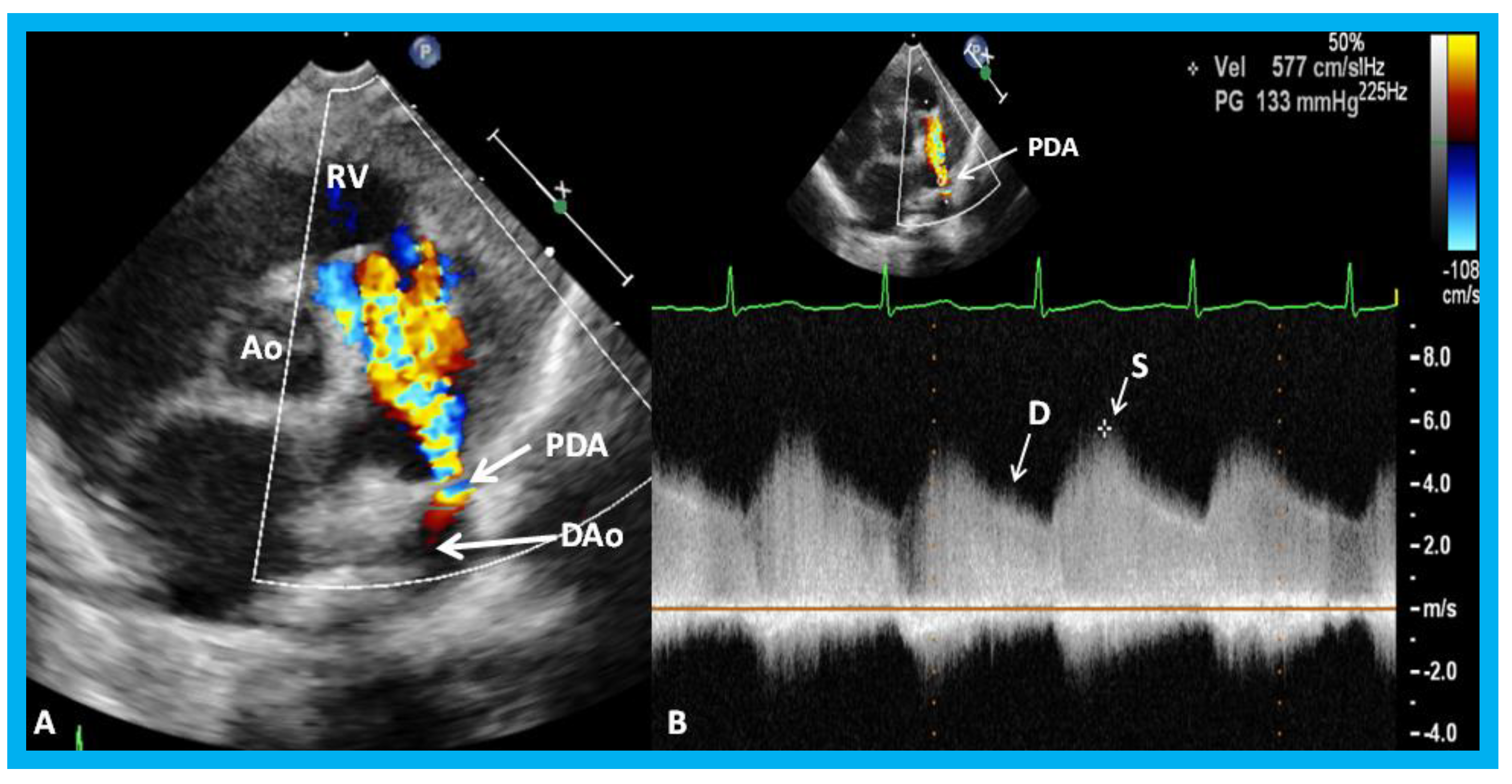 Children Free FullText The Author’s Contributions to