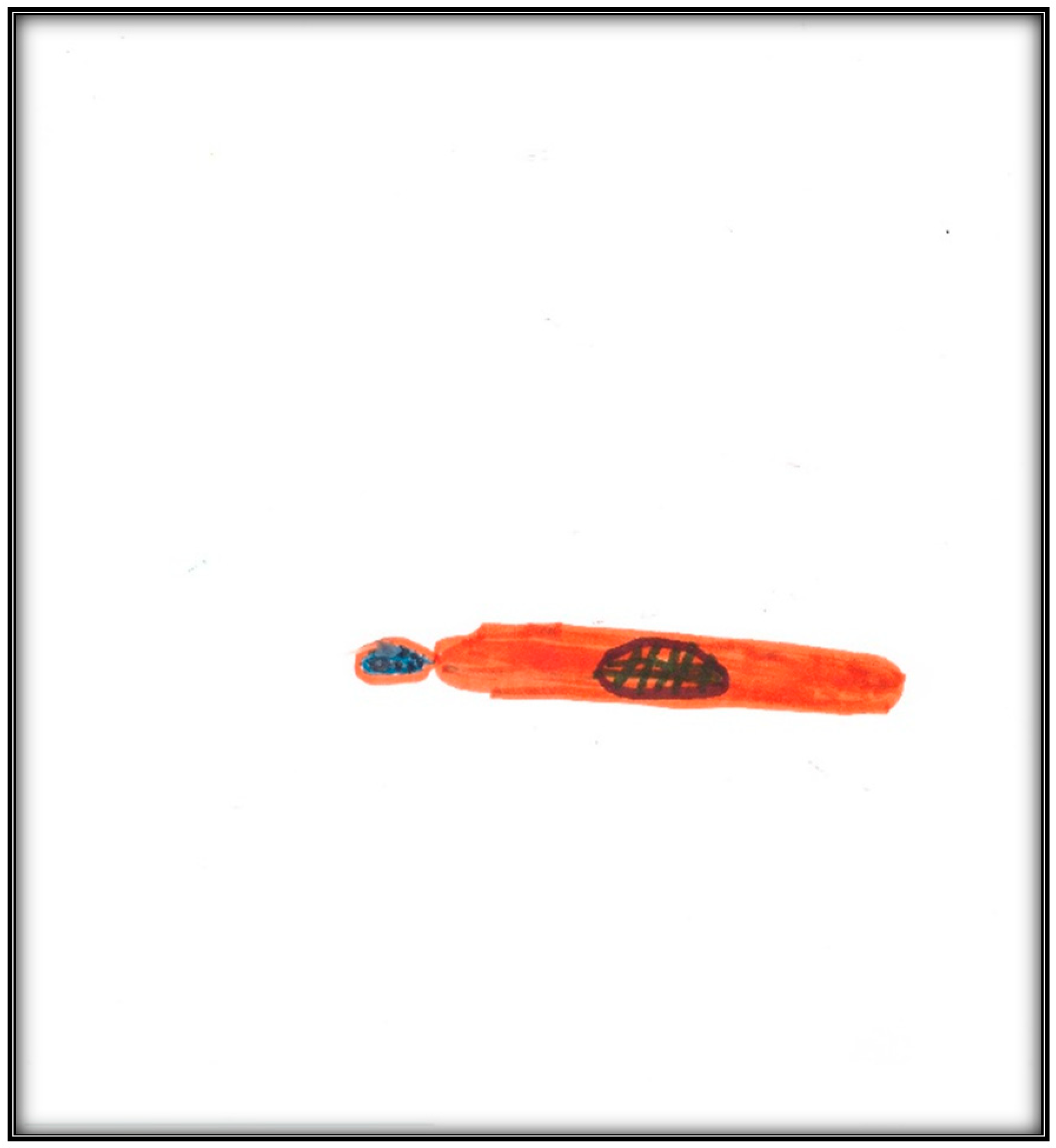 Children 07 00073 g011