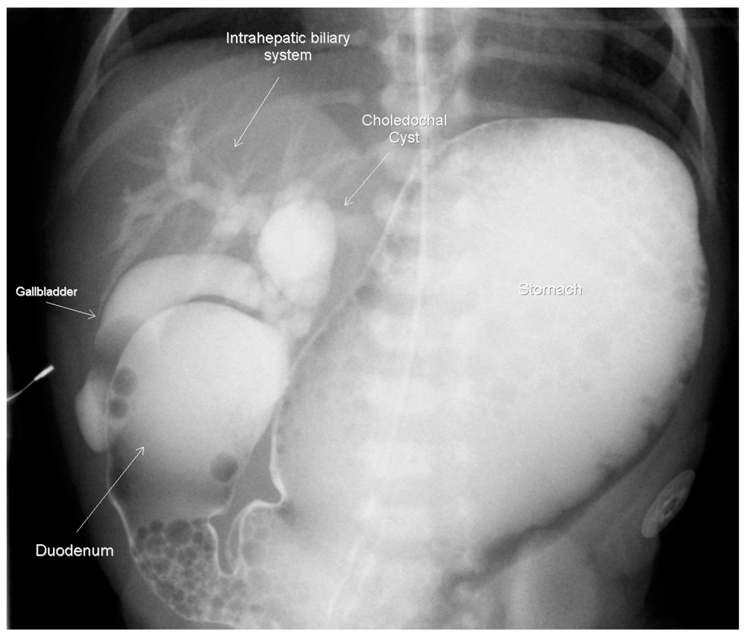 Children 07 00099 g002