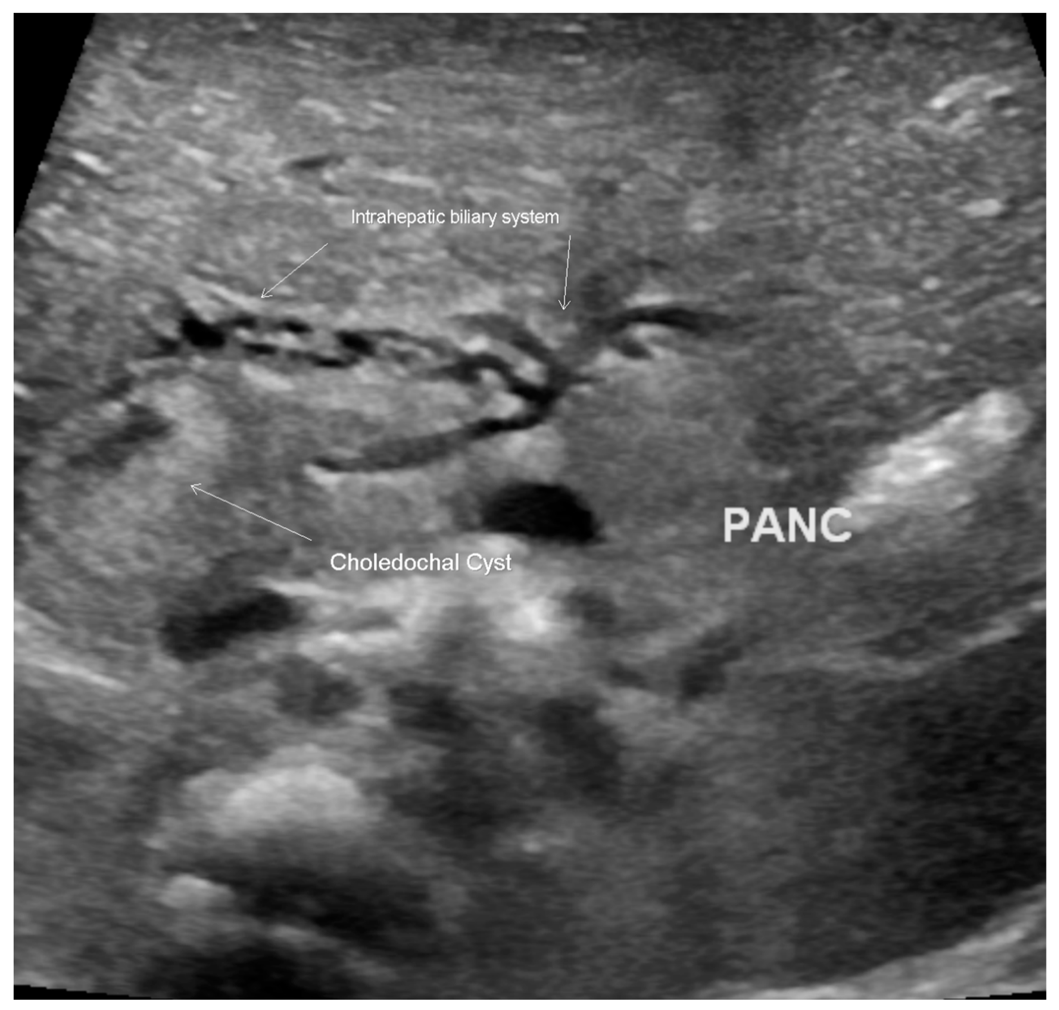 Children 07 00099 g003