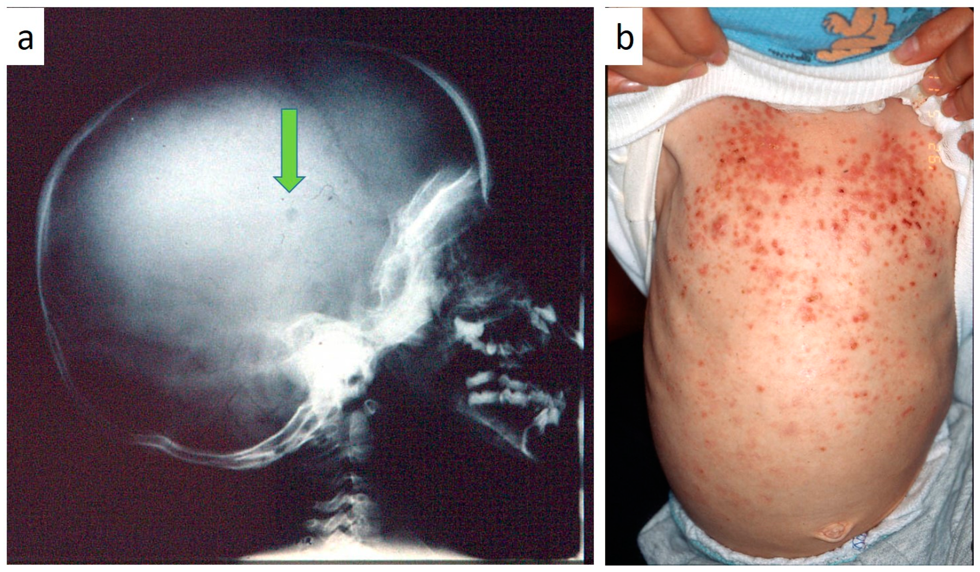 Children 07 00104 g006