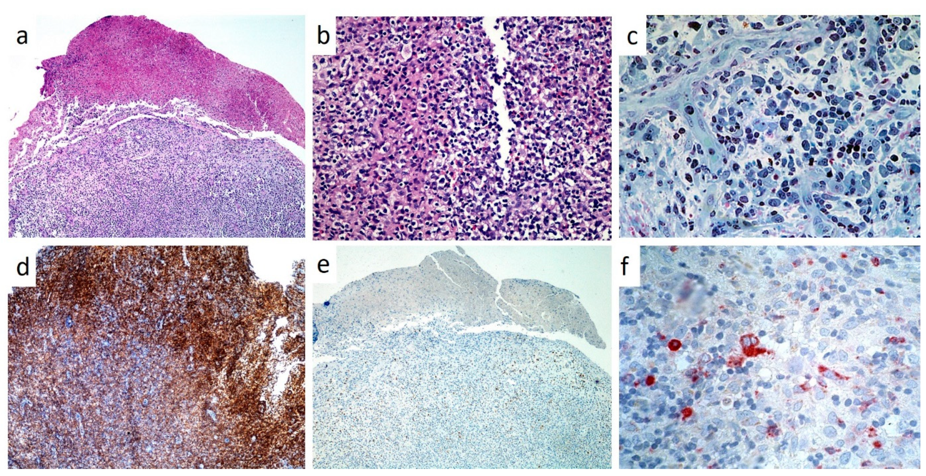 Children 07 00104 g008