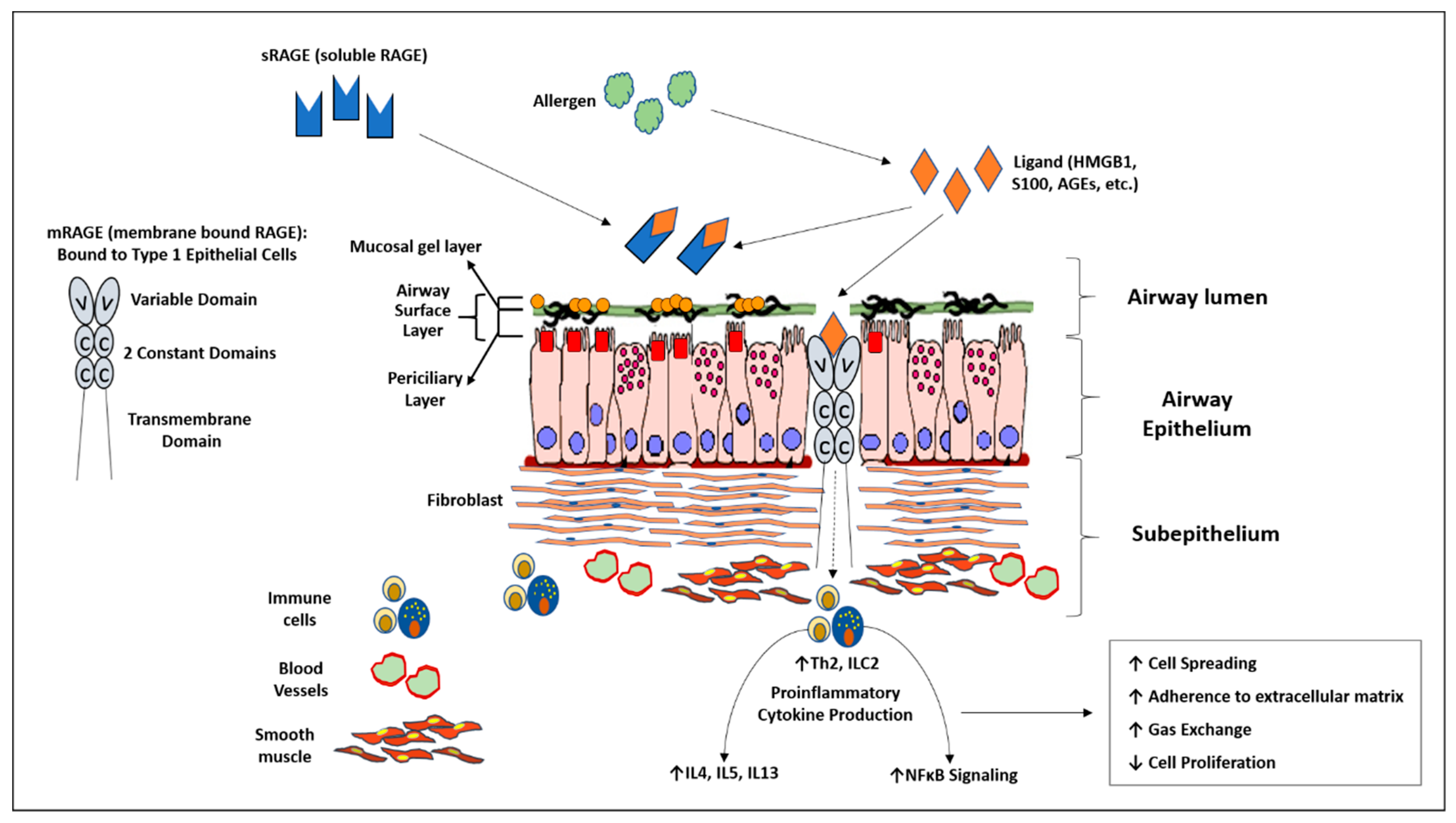 Children 07 00110 g001 Children 07 00110 g001