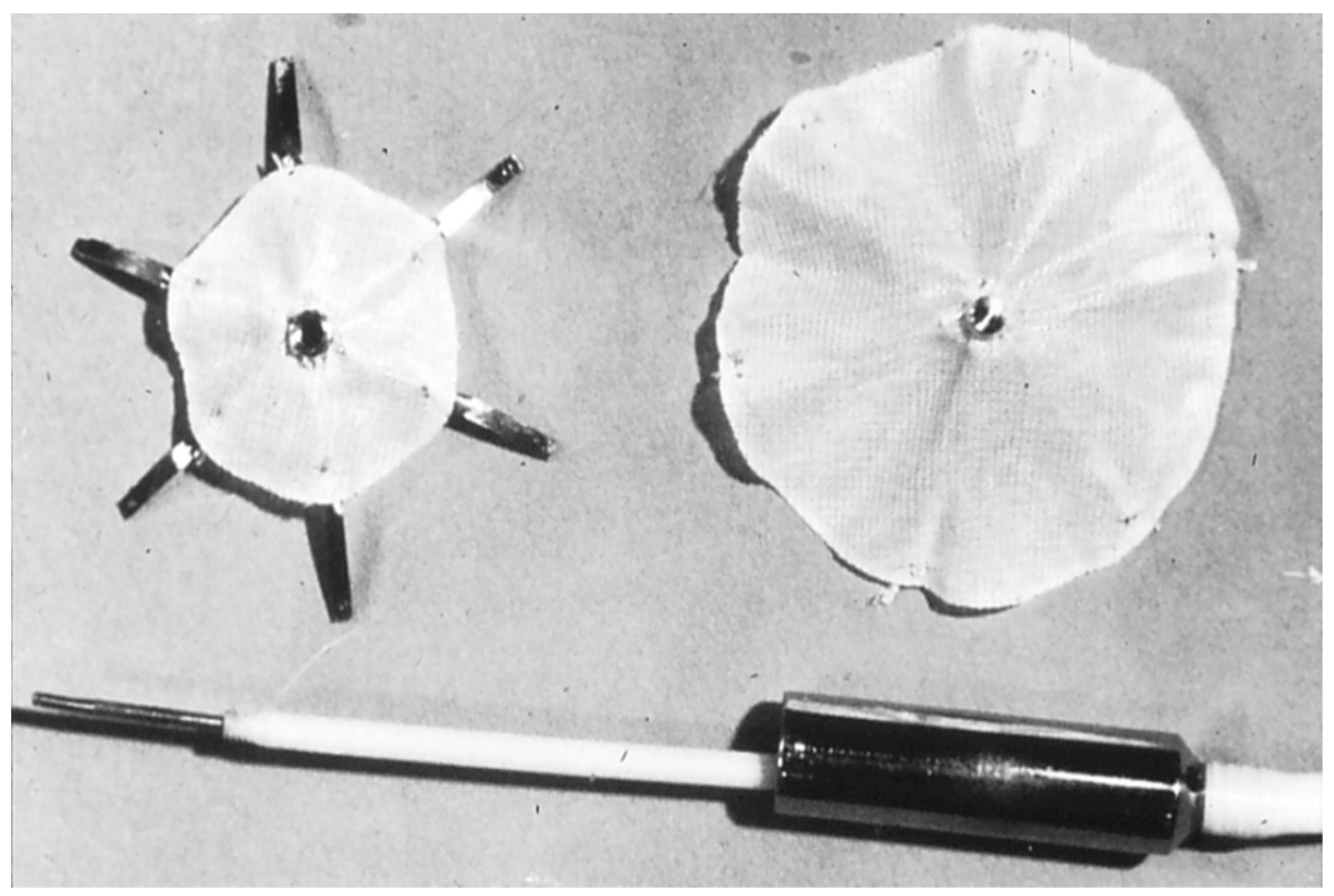 Children 07 00111 g001