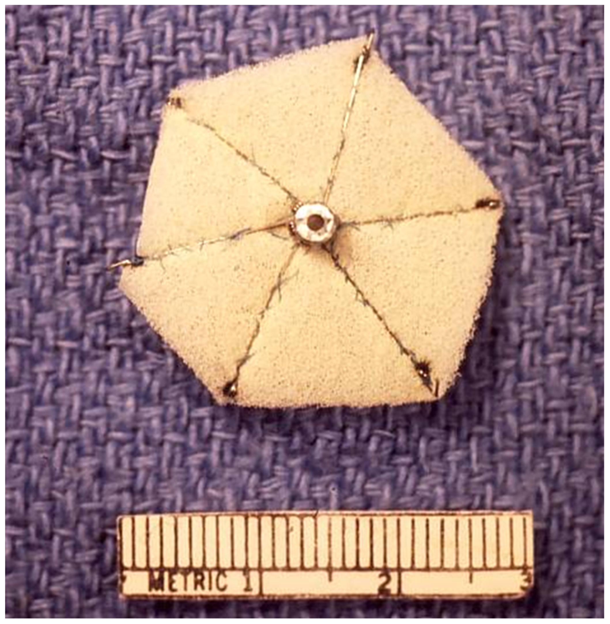 Children 07 00111 g002