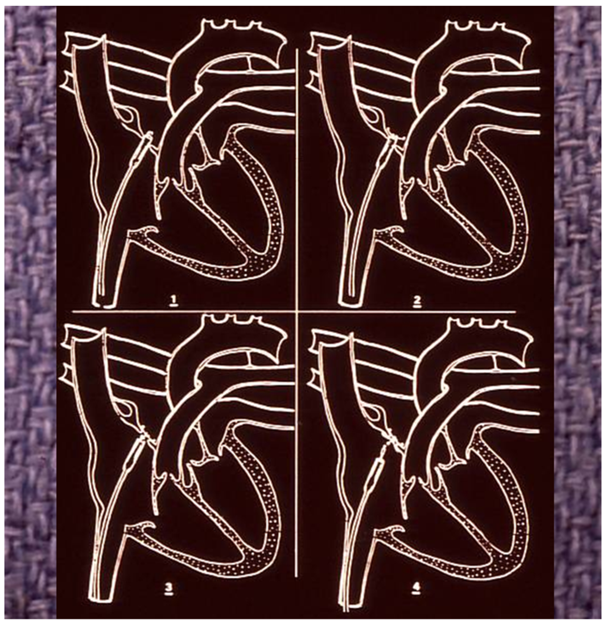 Children 07 00111 g003