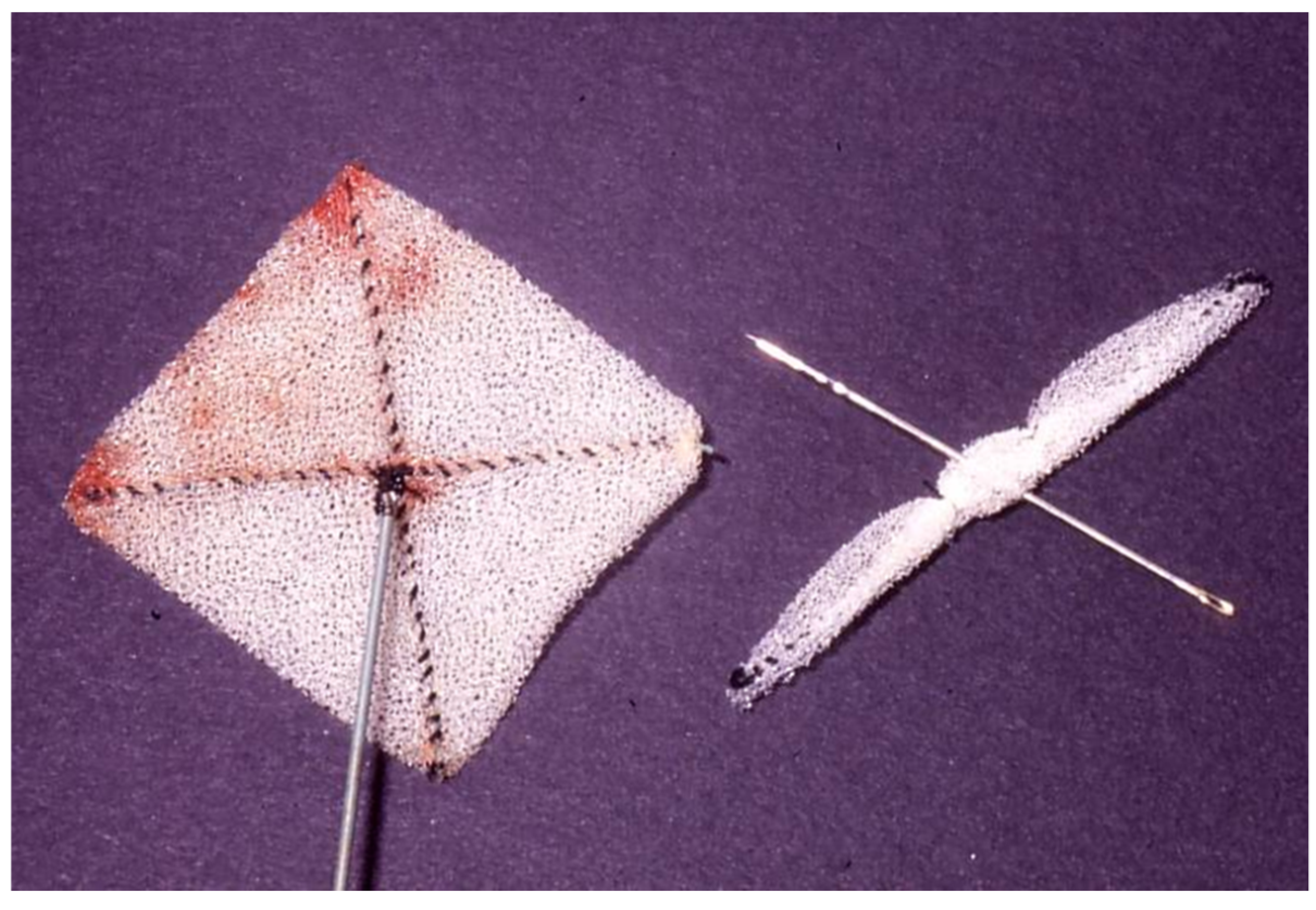 Children 07 00111 g005