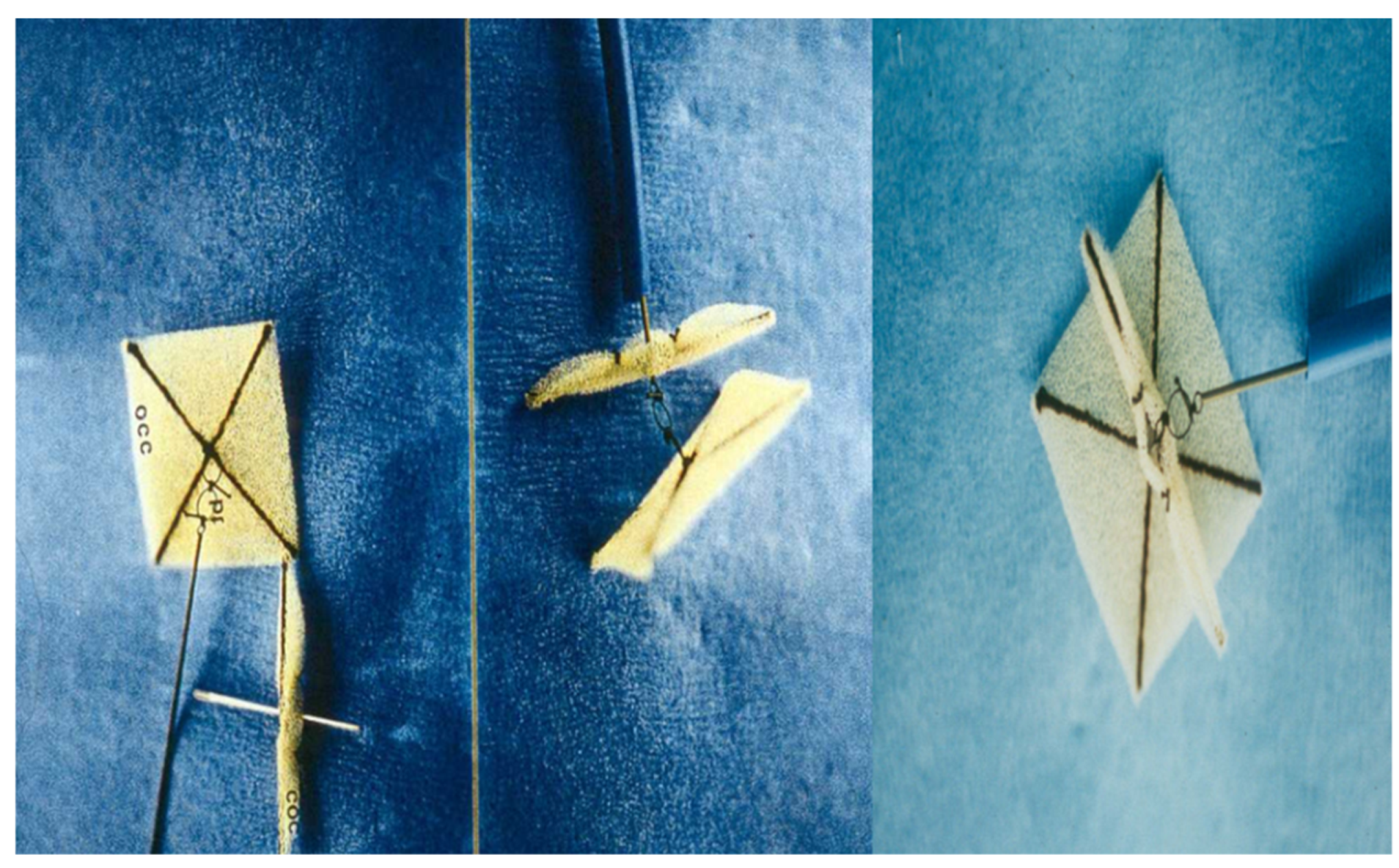 Children 07 00111 g007