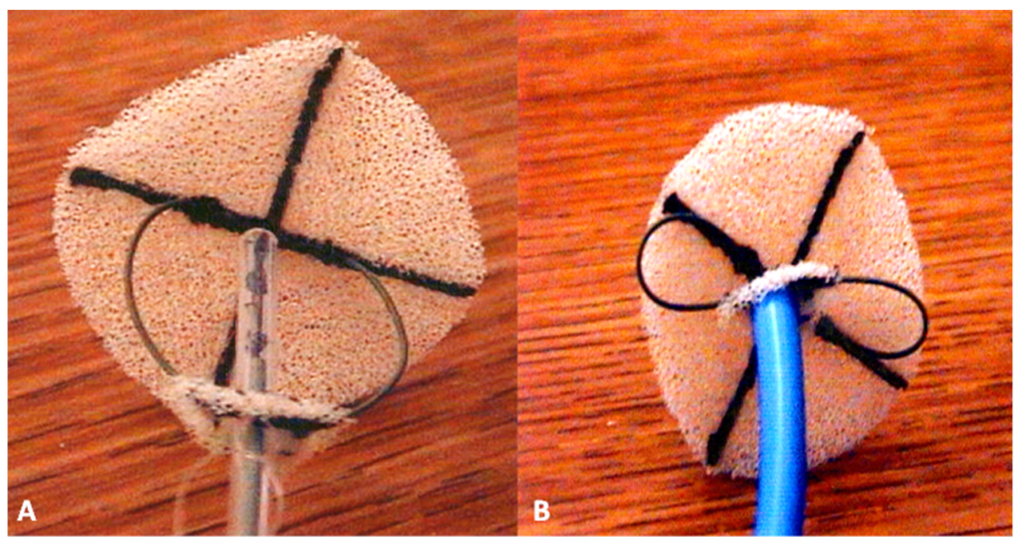 Children 07 00111 g008