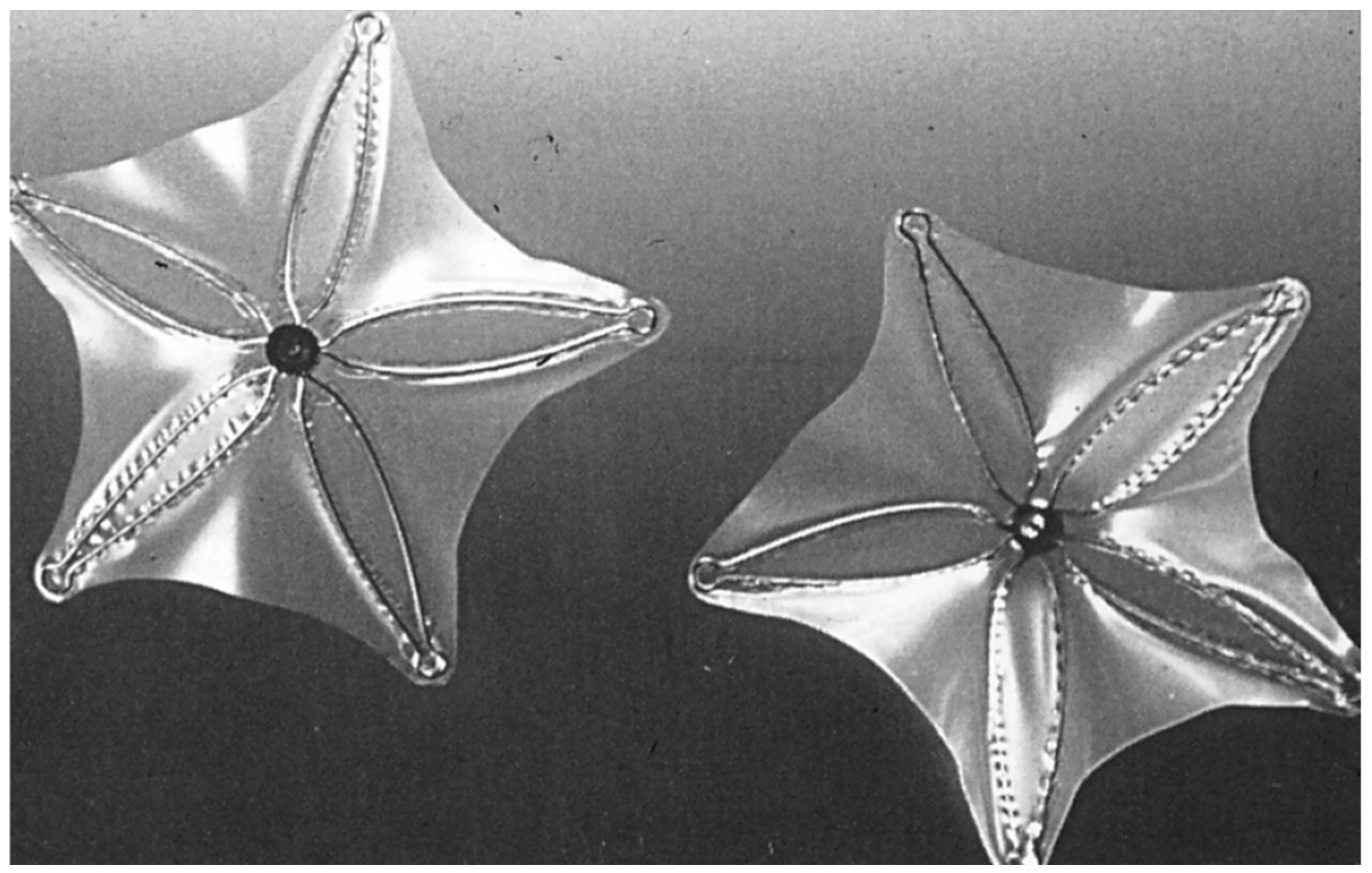 Children 07 00111 g009