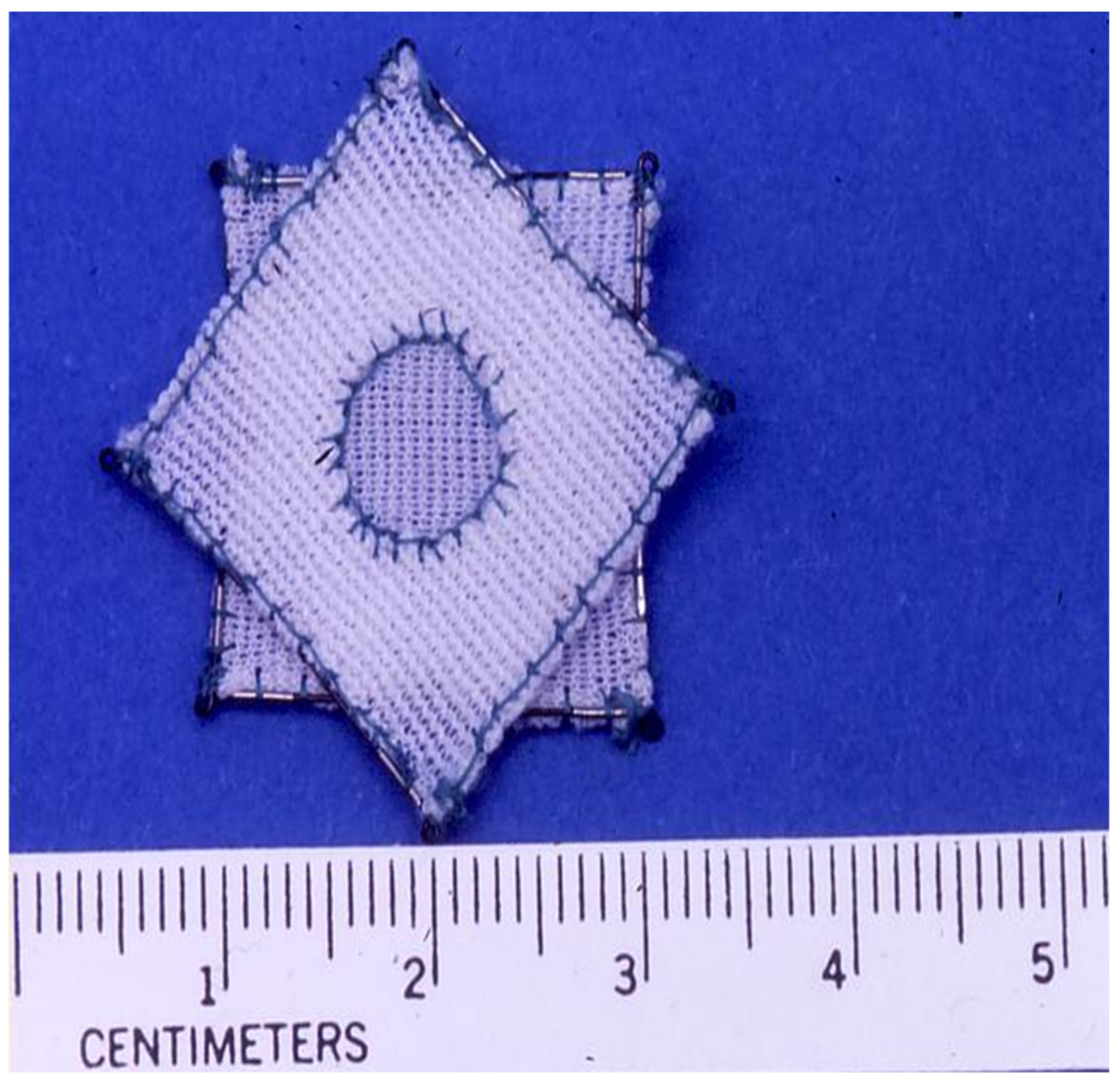 Children 07 00111 g010