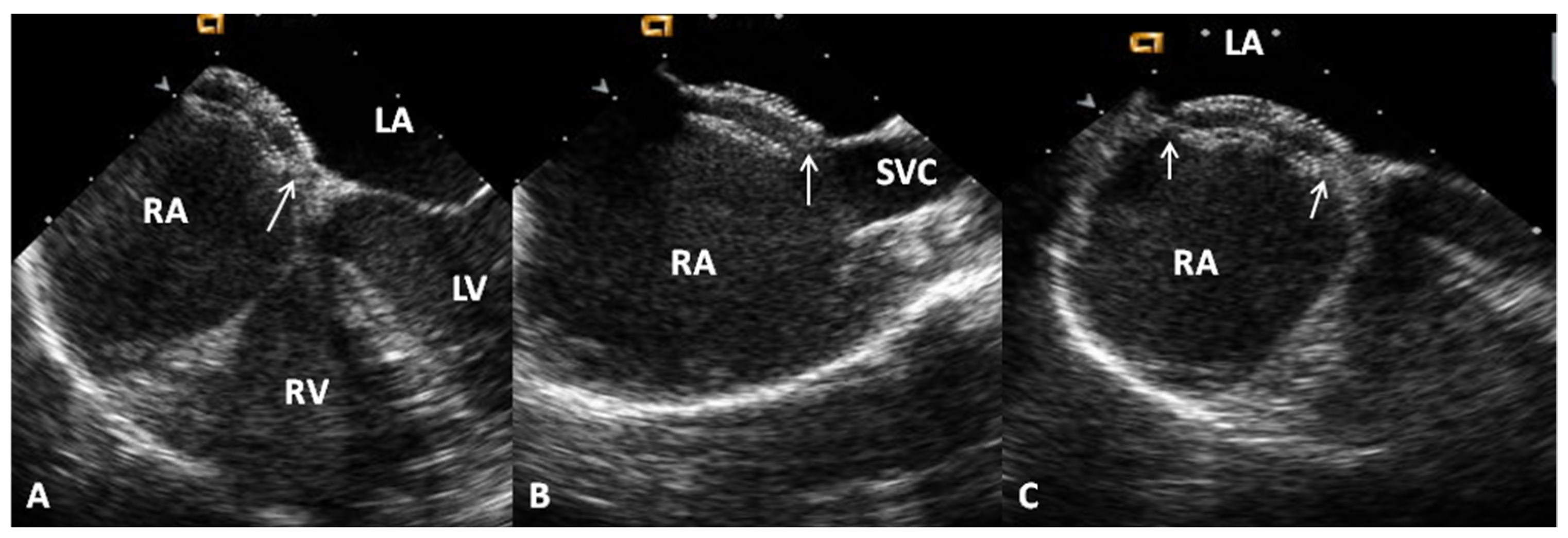 Children 07 00111 g012