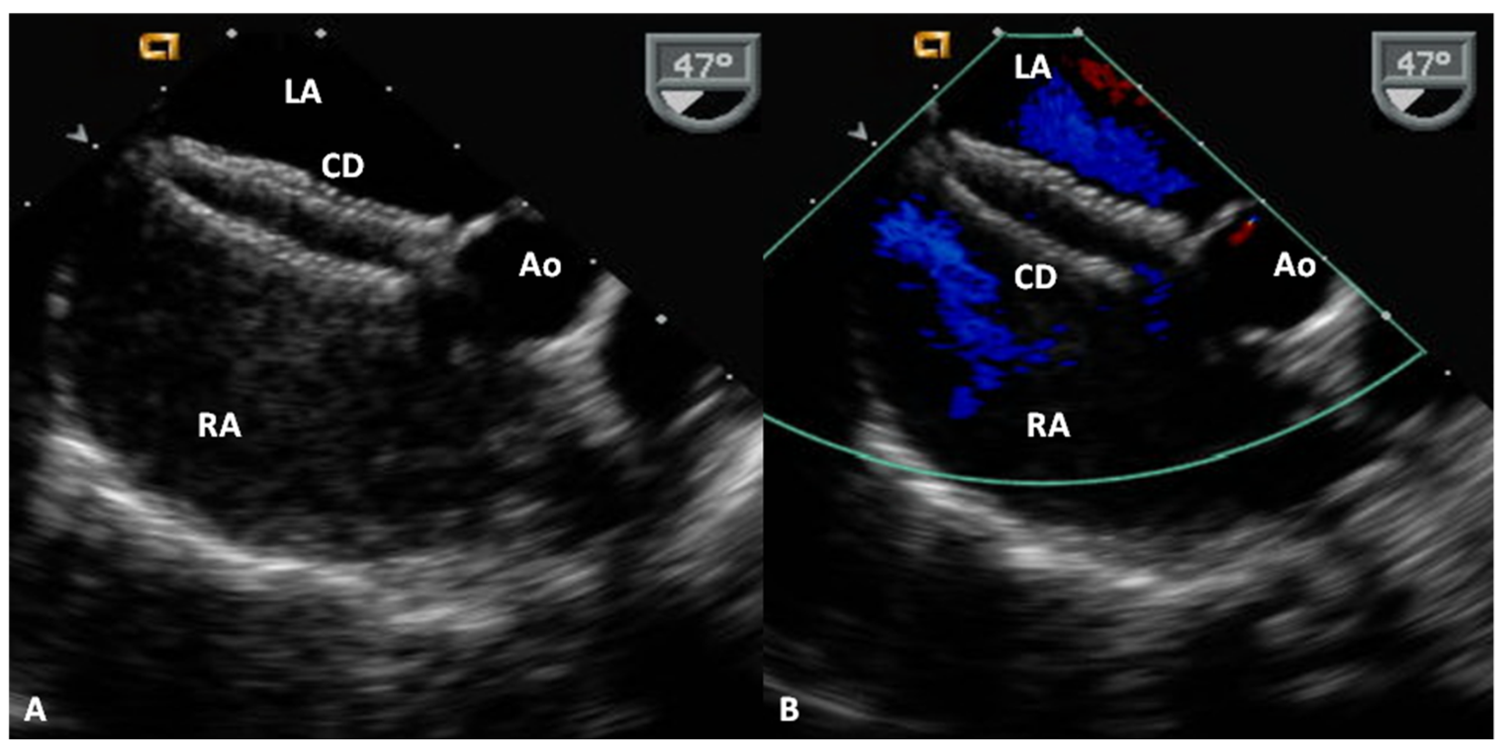 Children 07 00111 g014