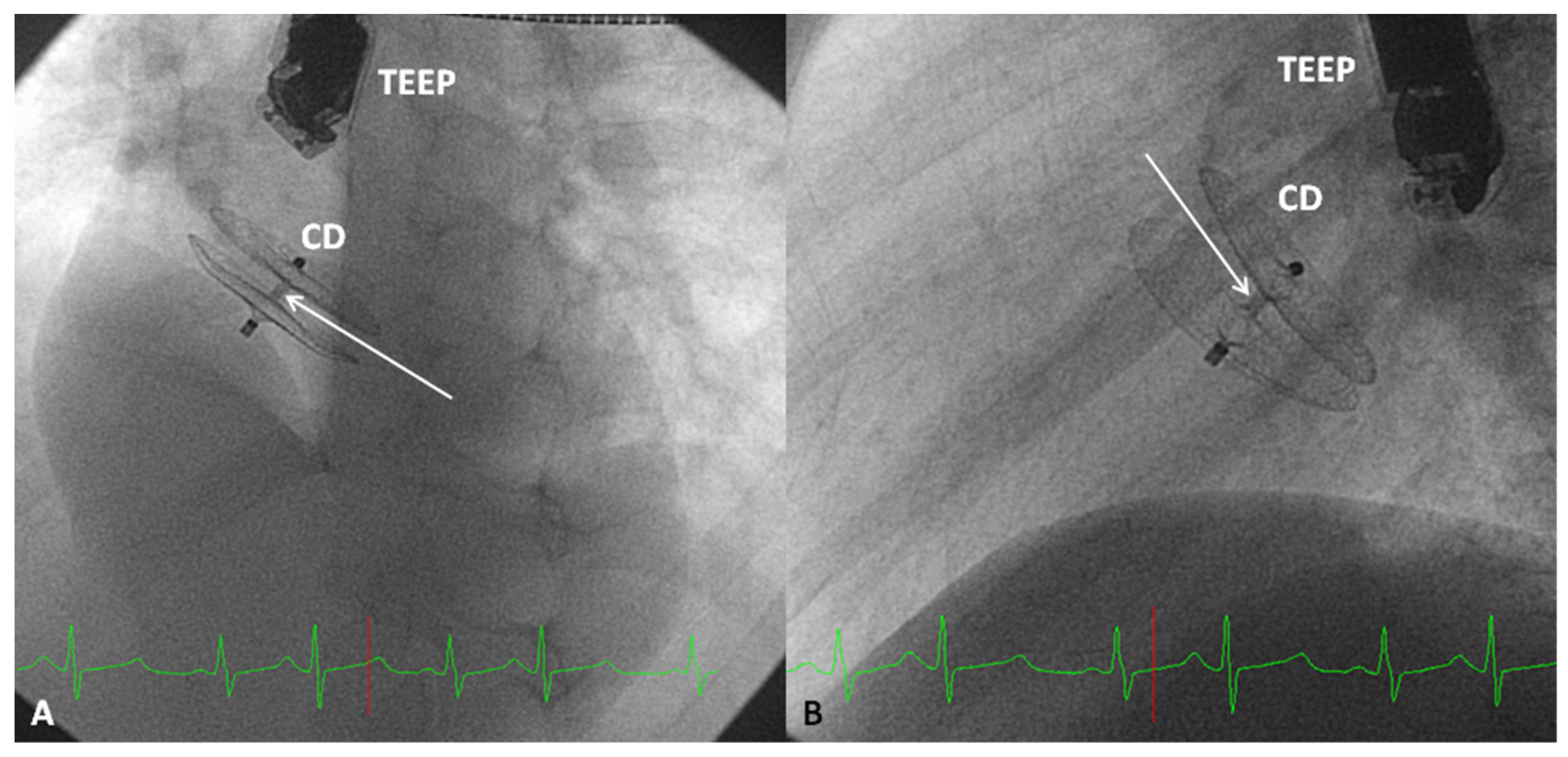 Children 07 00111 g015