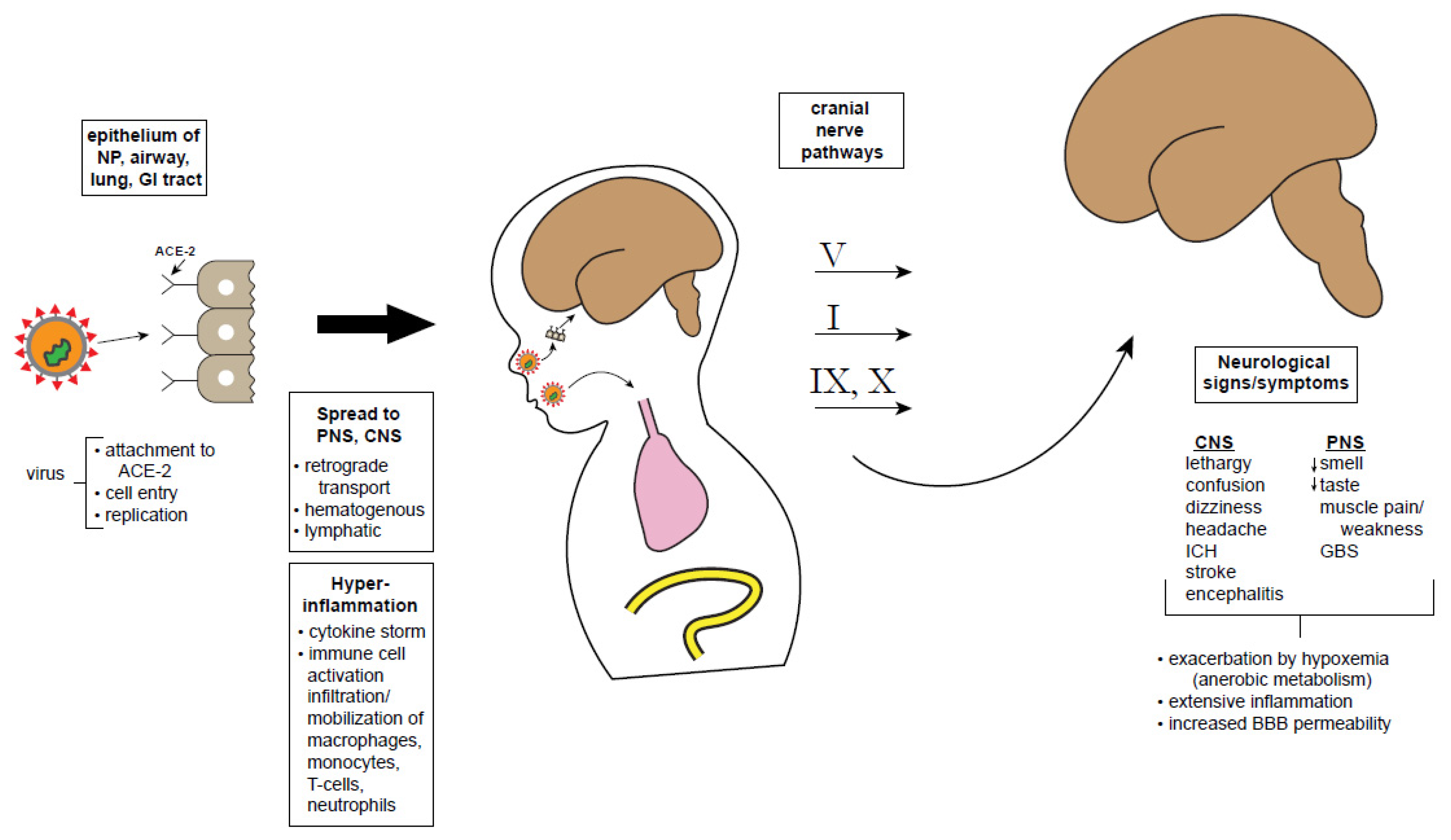 Children Free Full Text Covid 19 Neurological Considerations In Neonates And Children Html