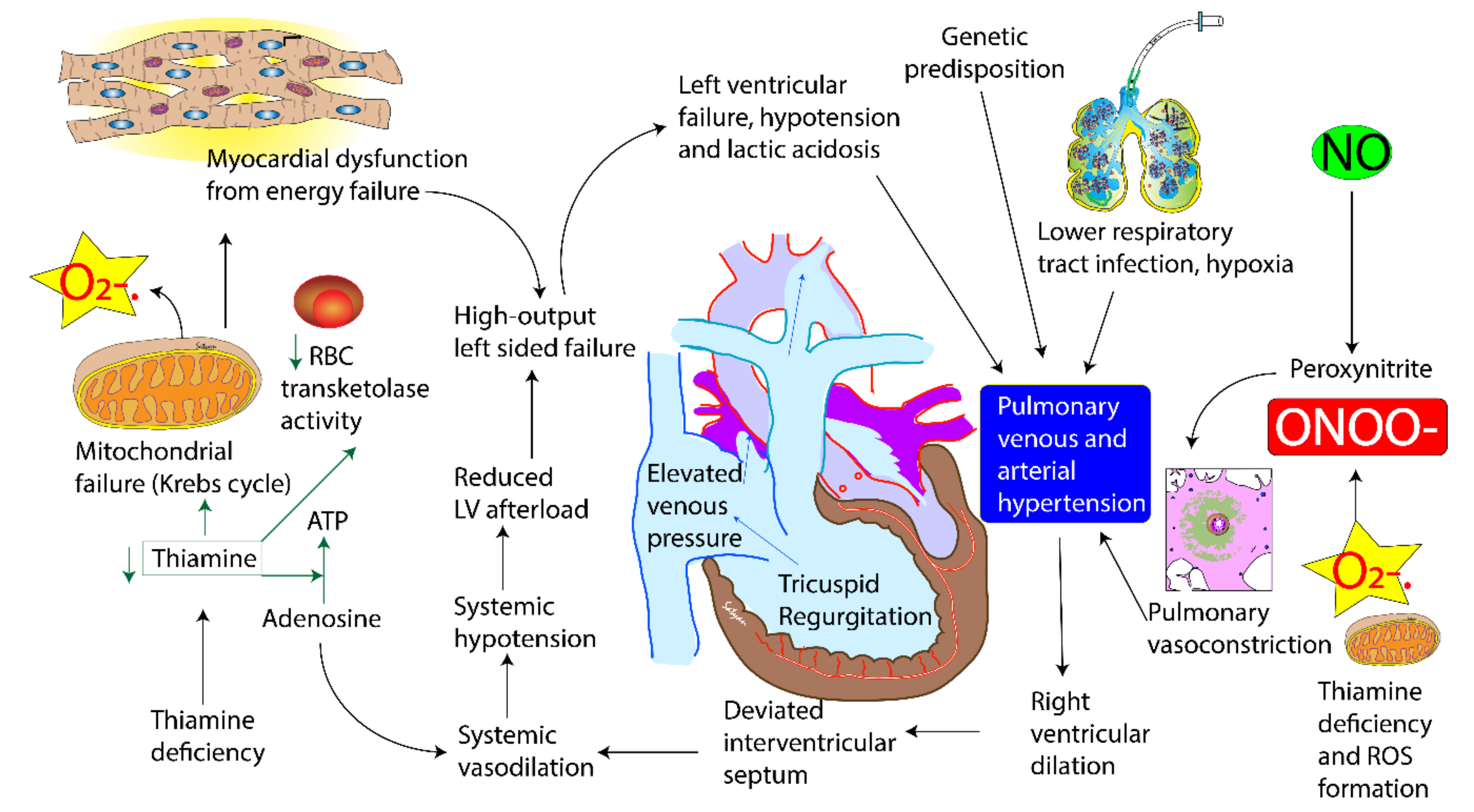 Children 07 00199 g004 Children 07 00199 g004