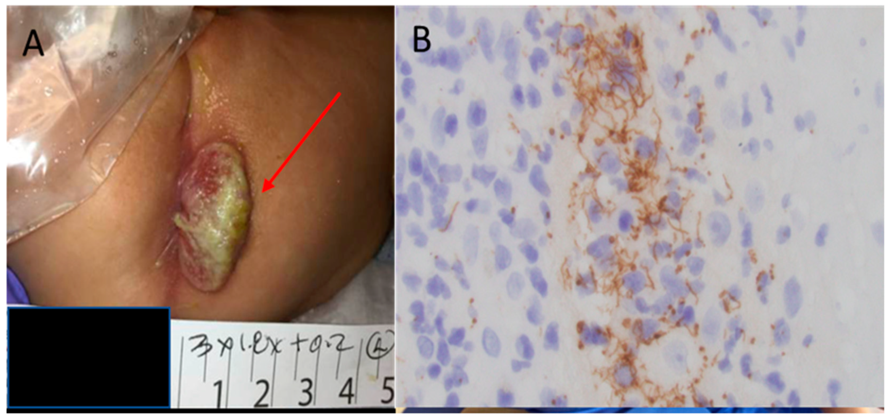 Children 07 00203 g002 Children 07 00203 g002