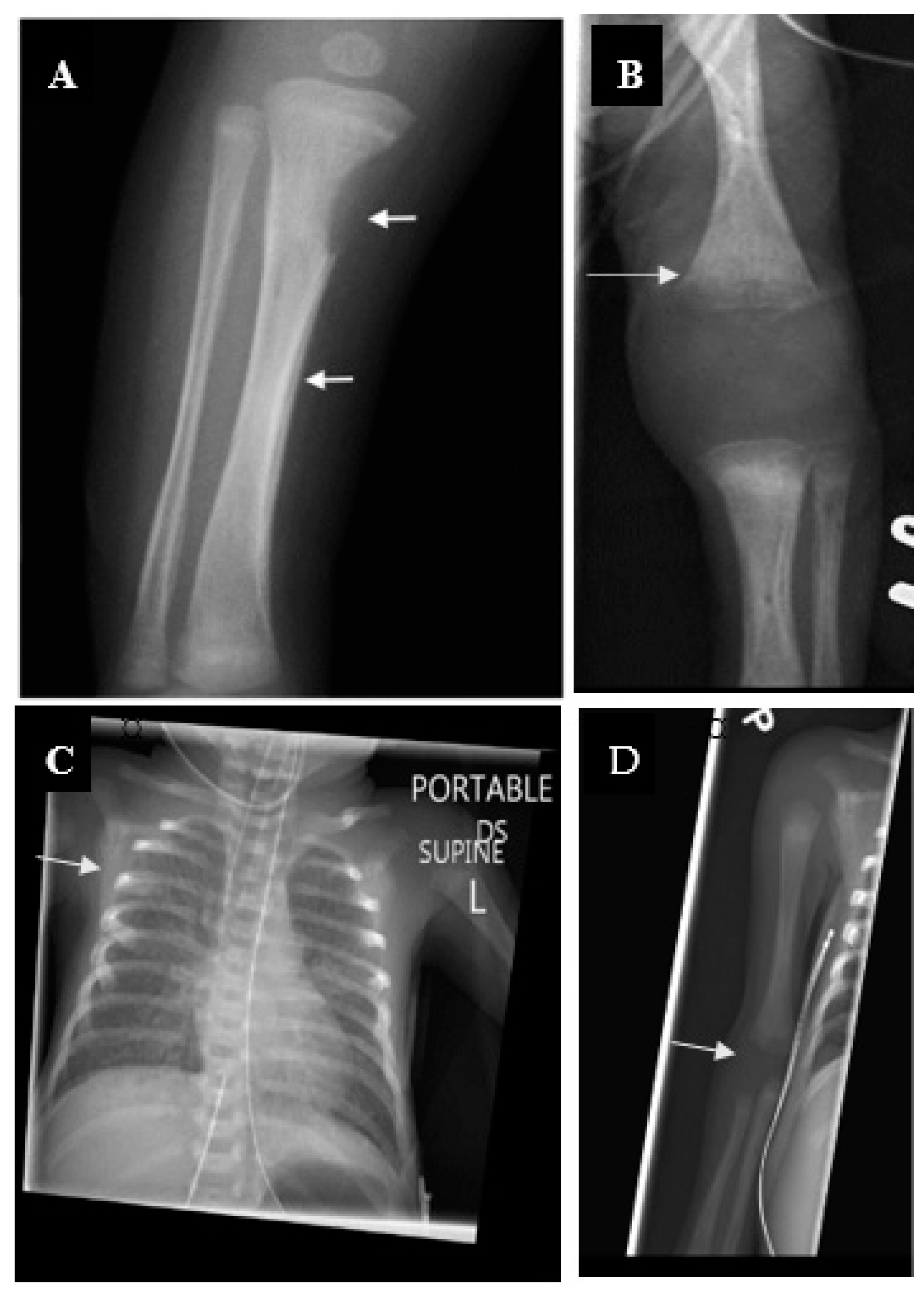 Children 07 00203 g003 Children 07 00203 g003