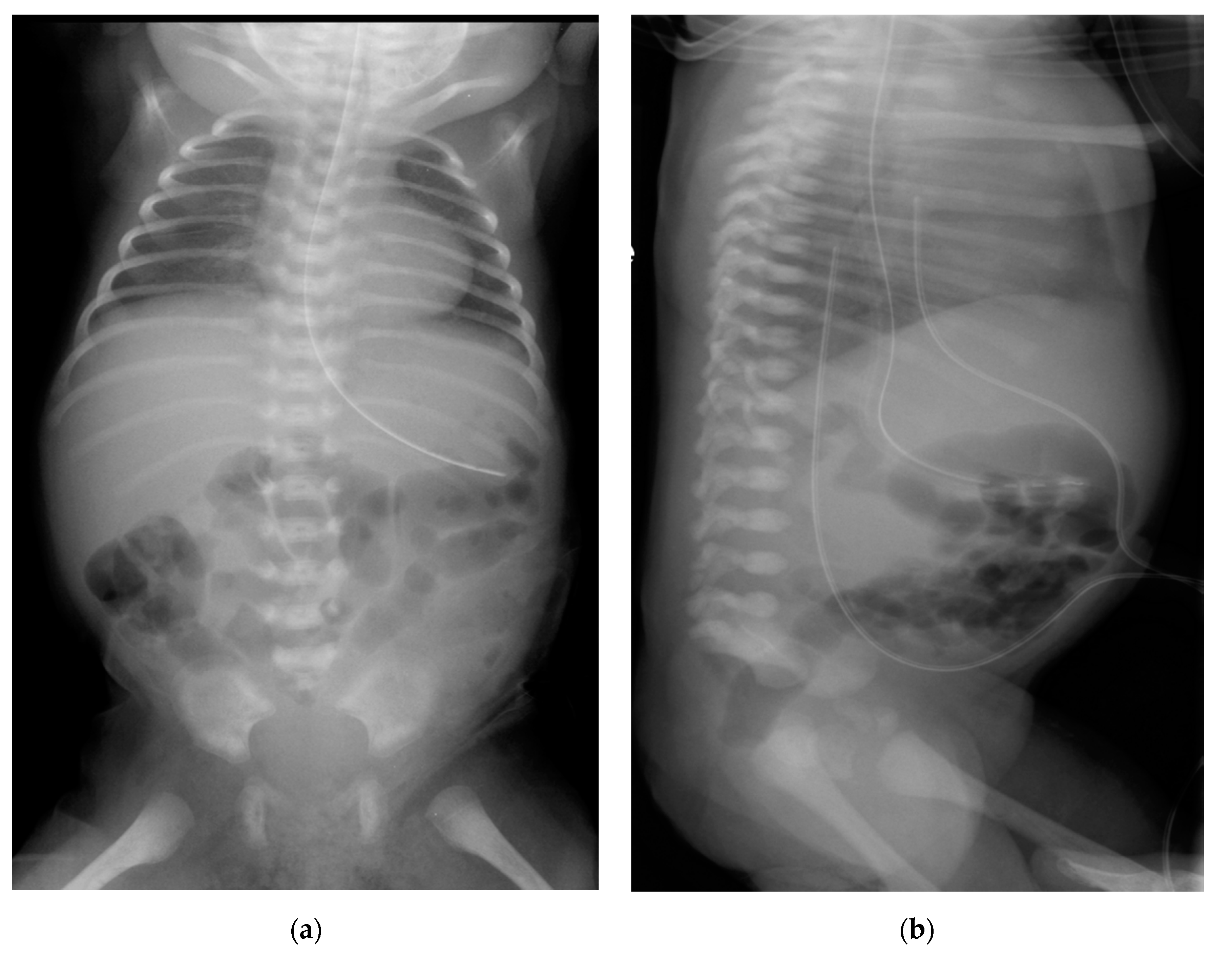 Children 07 00211 g002 Children 07 00211 g002