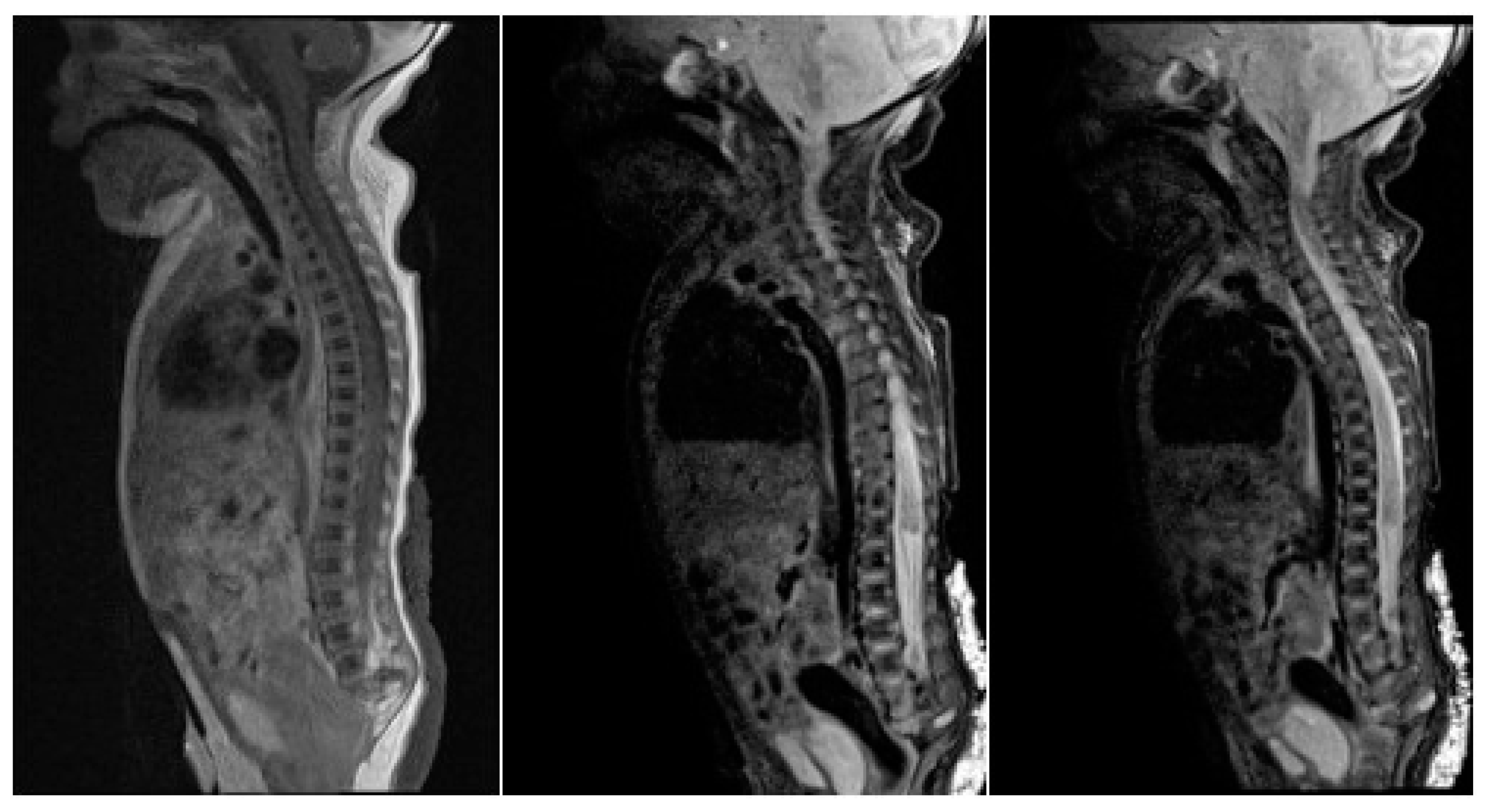 Children 07 00211 g004 Children 07 00211 g004