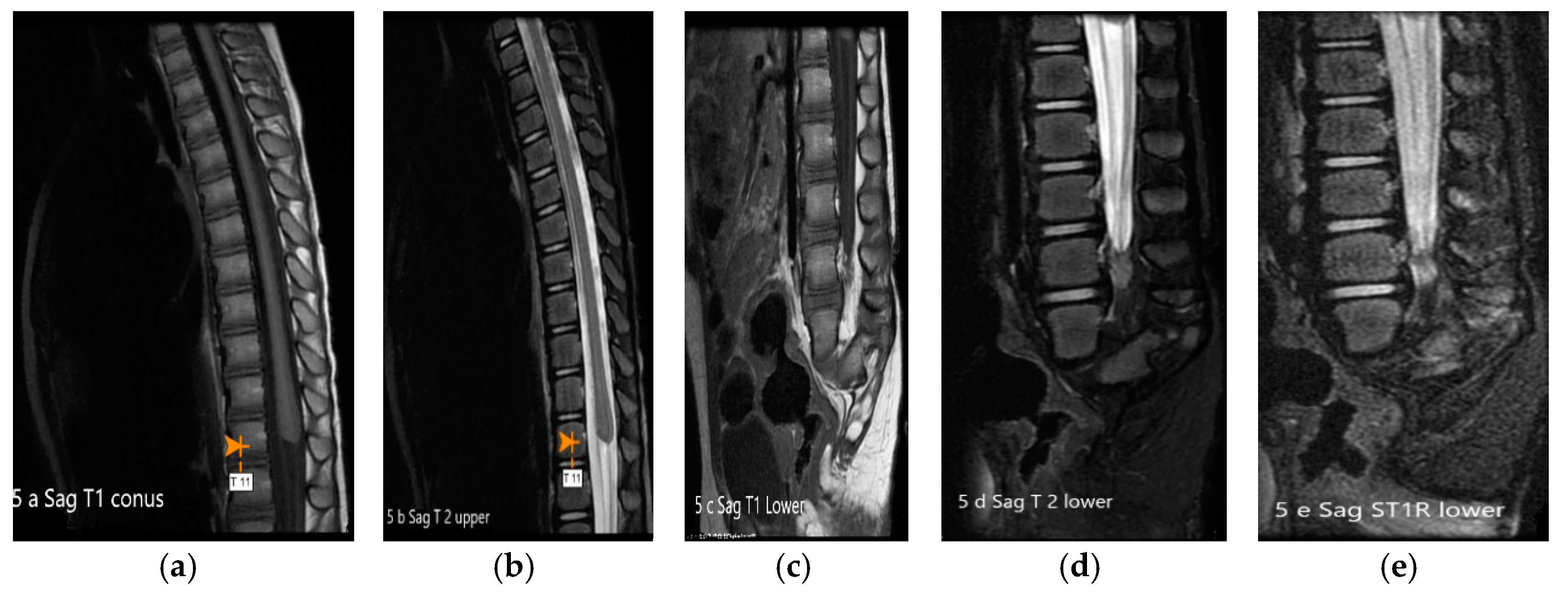 Children 07 00211 g005 Children 07 00211 g005
