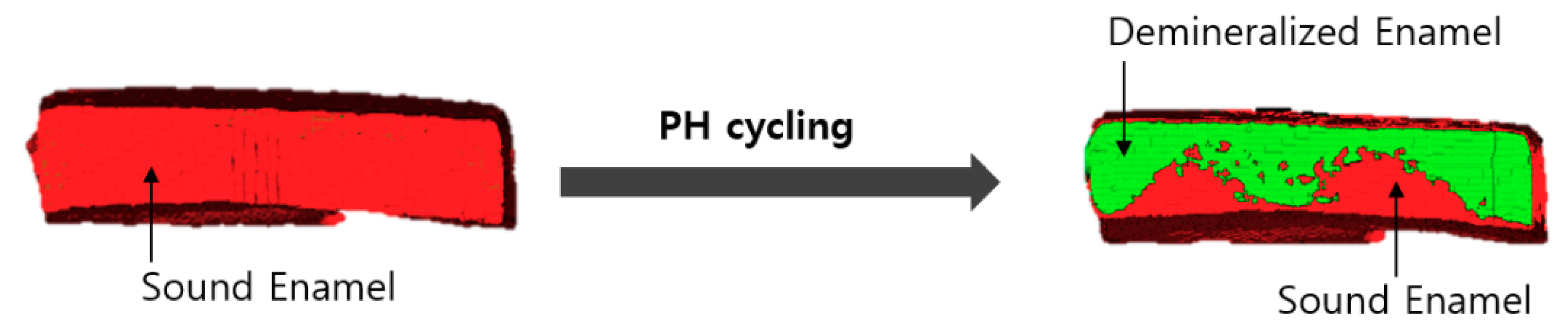 Children 07 00251 g003 Children 07 00251 g003