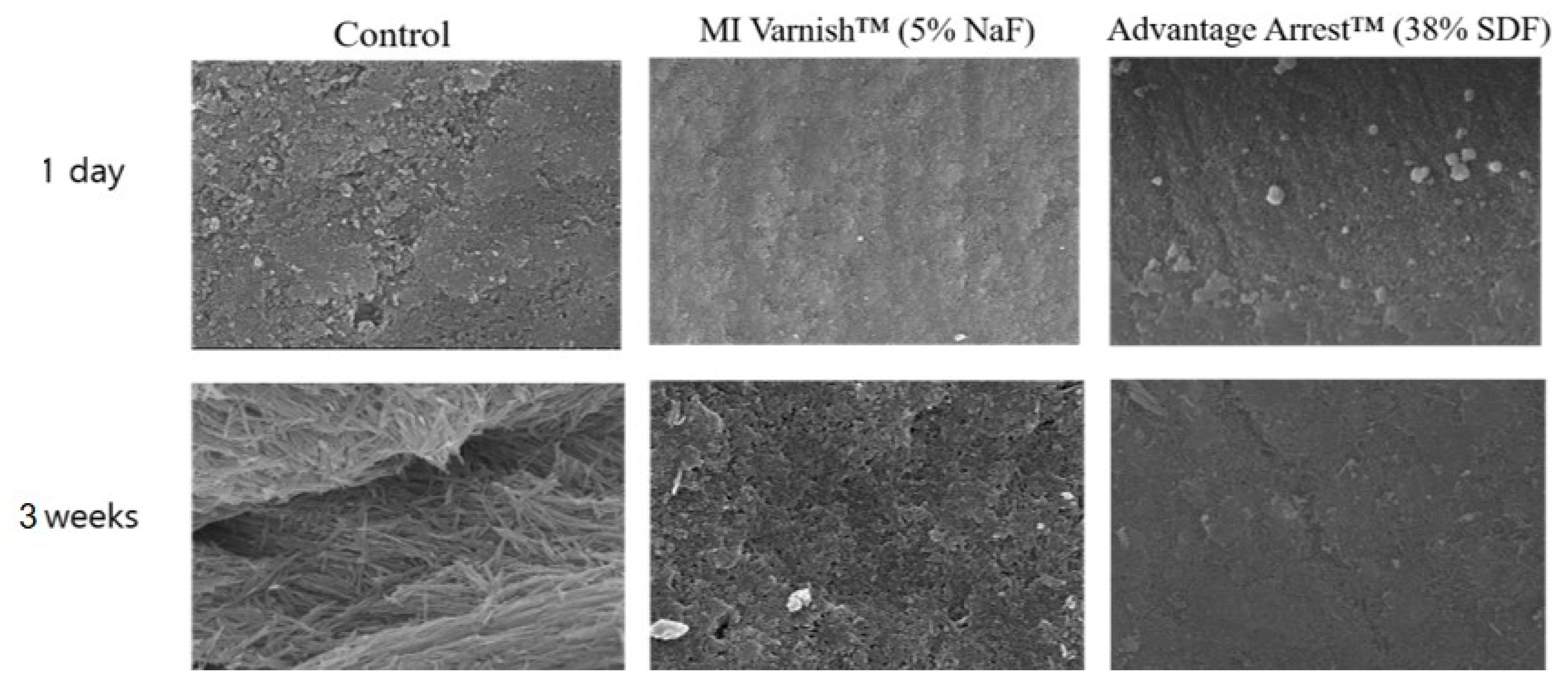 Children 07 00251 g010 Children 07 00251 g010