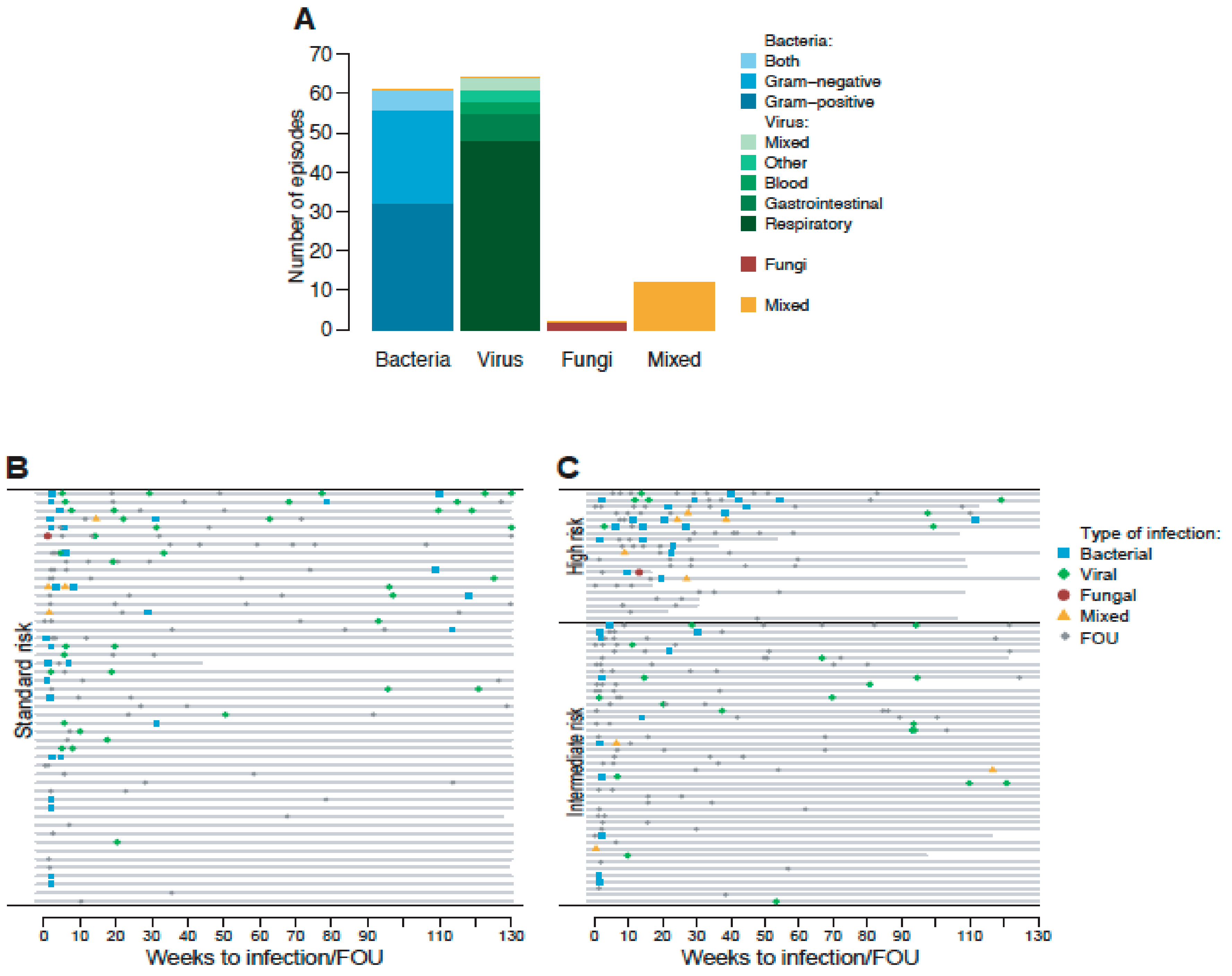 Children 07 00296 g001