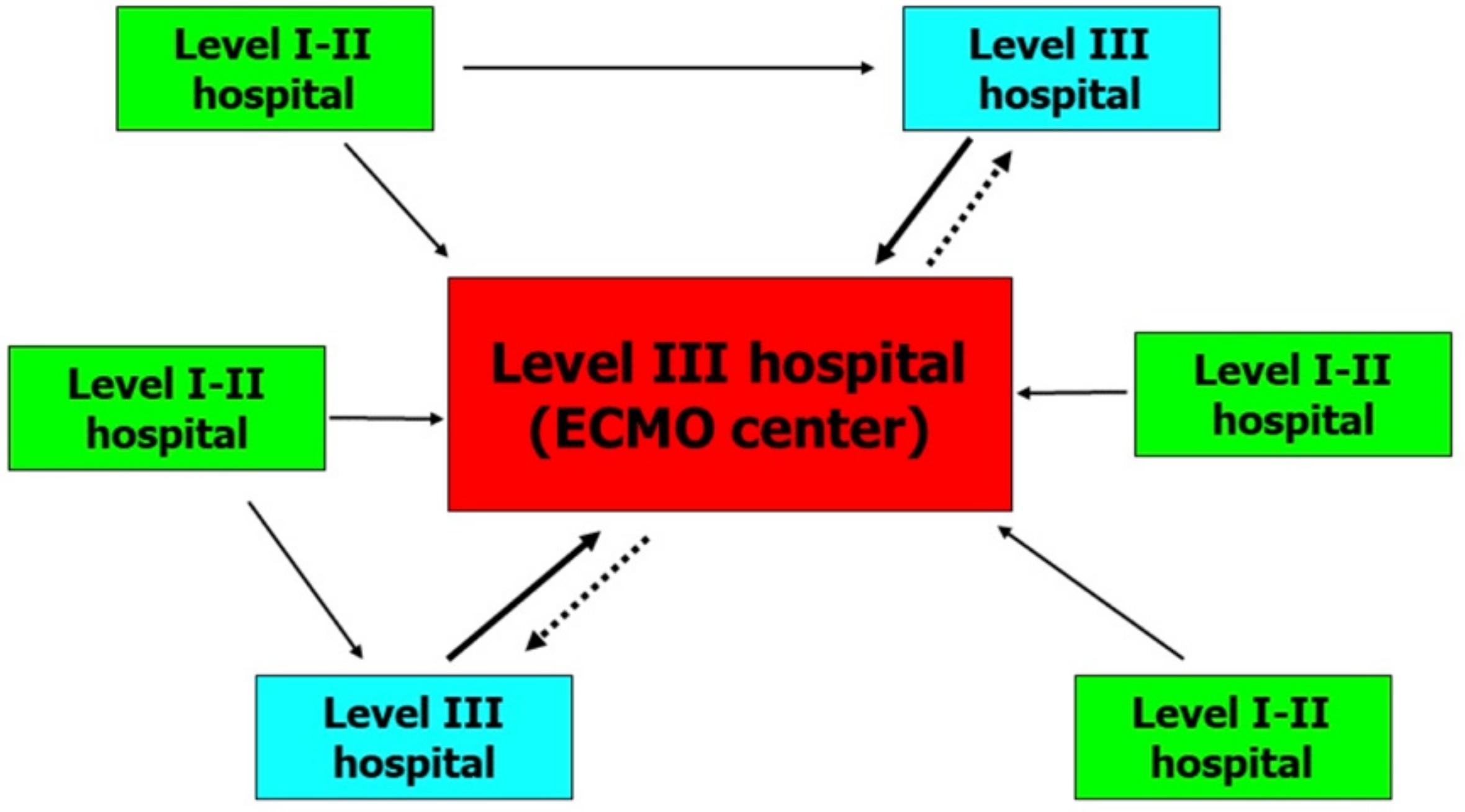 Children 08 00024 g001 Children 08 00024 g001