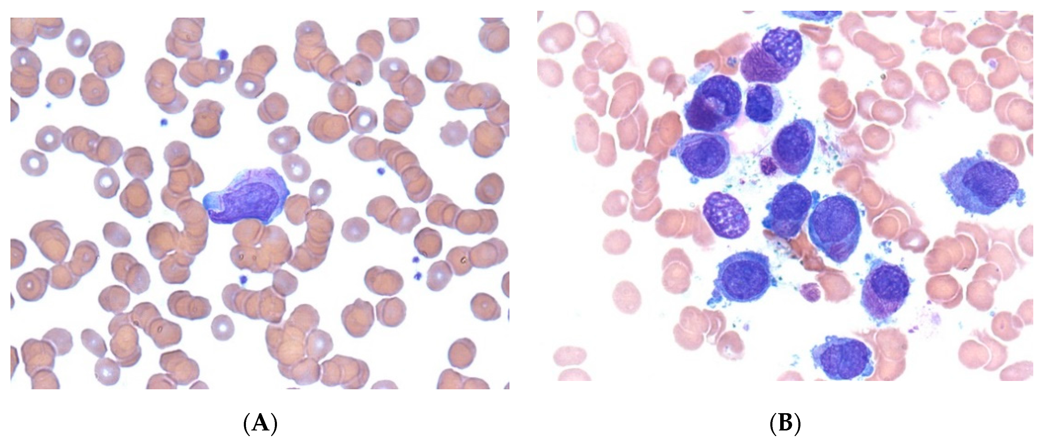 Children 08 00027 g001 Children 08 00027 g001