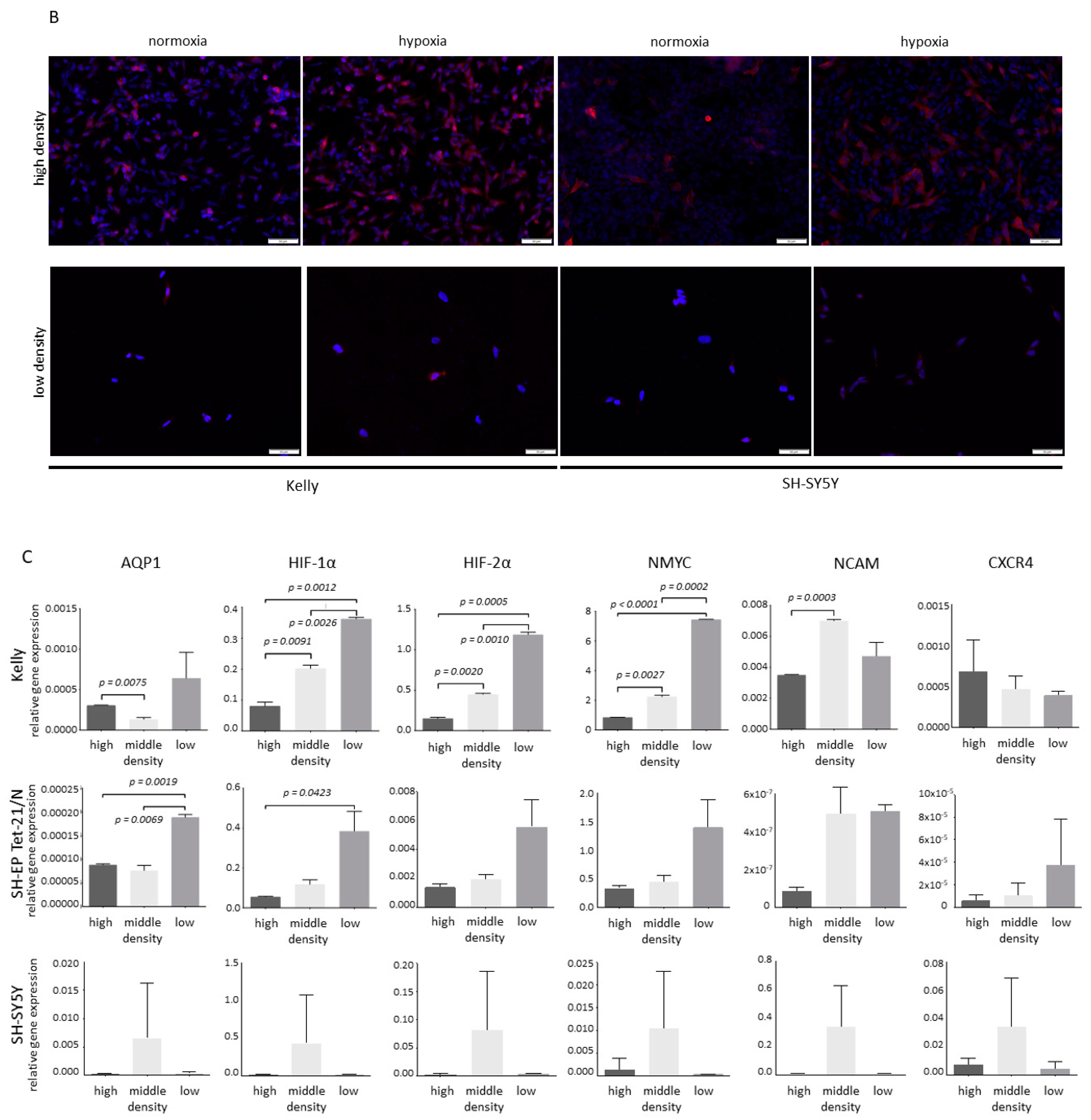 Children 08 00048 g002b Children 08 00048 g002b