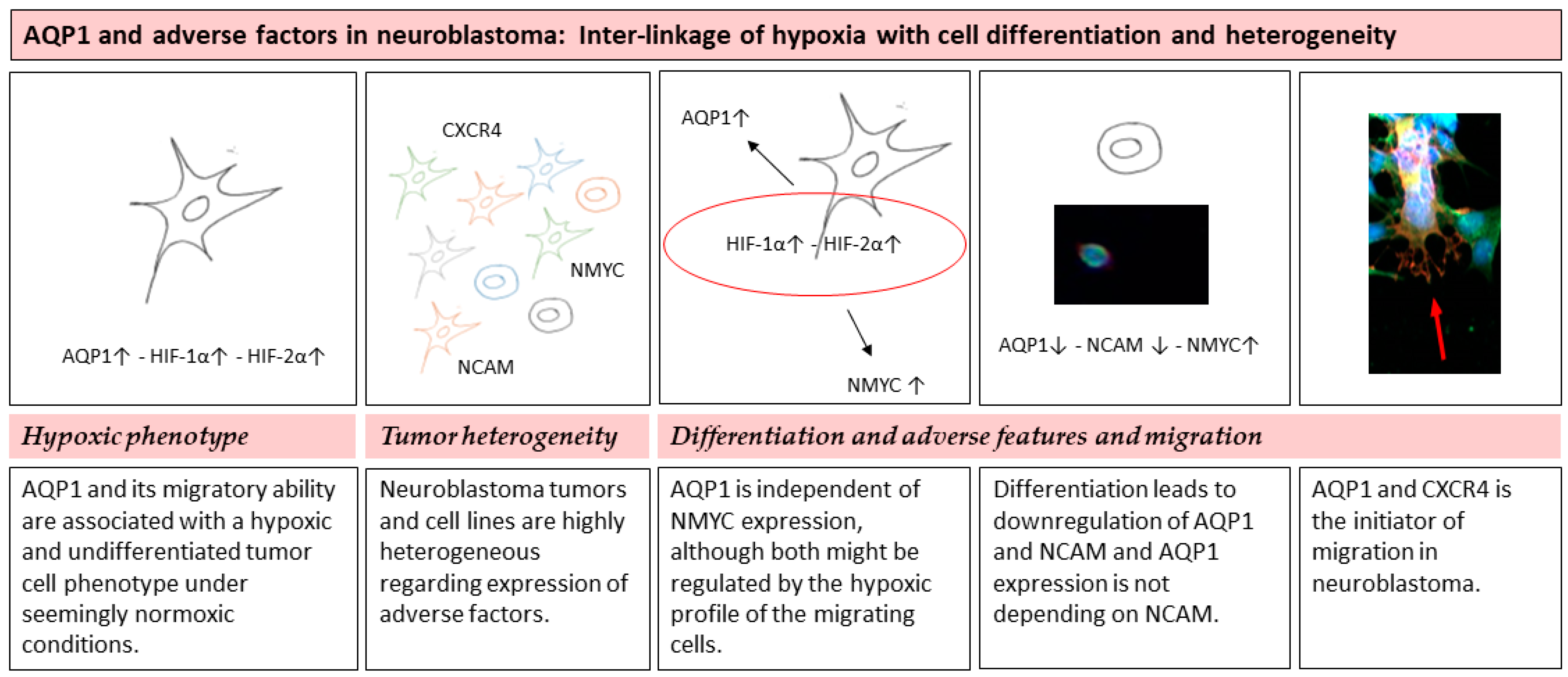 Children 08 00048 g004 Children 08 00048 g004
