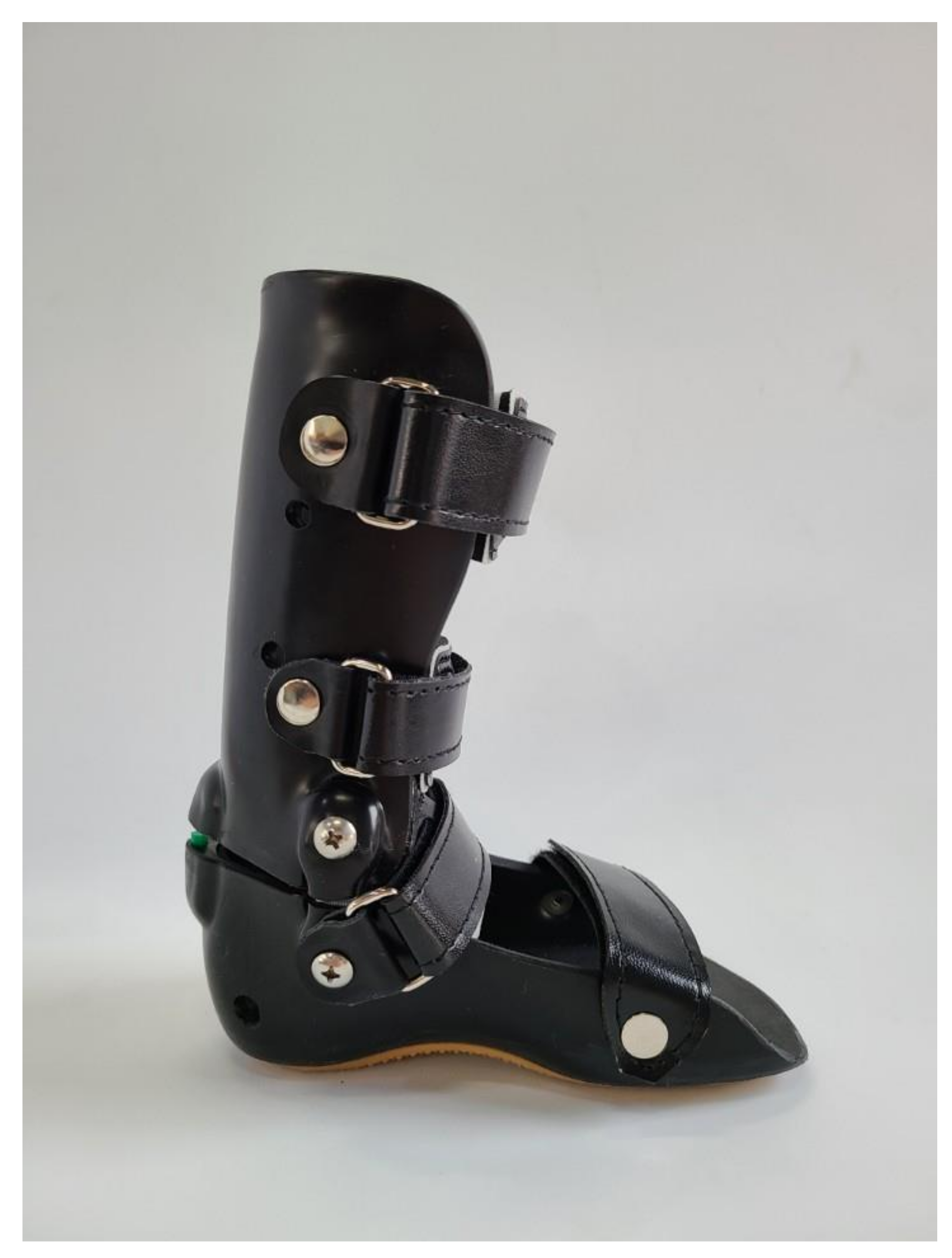 Children 08 00081 g002