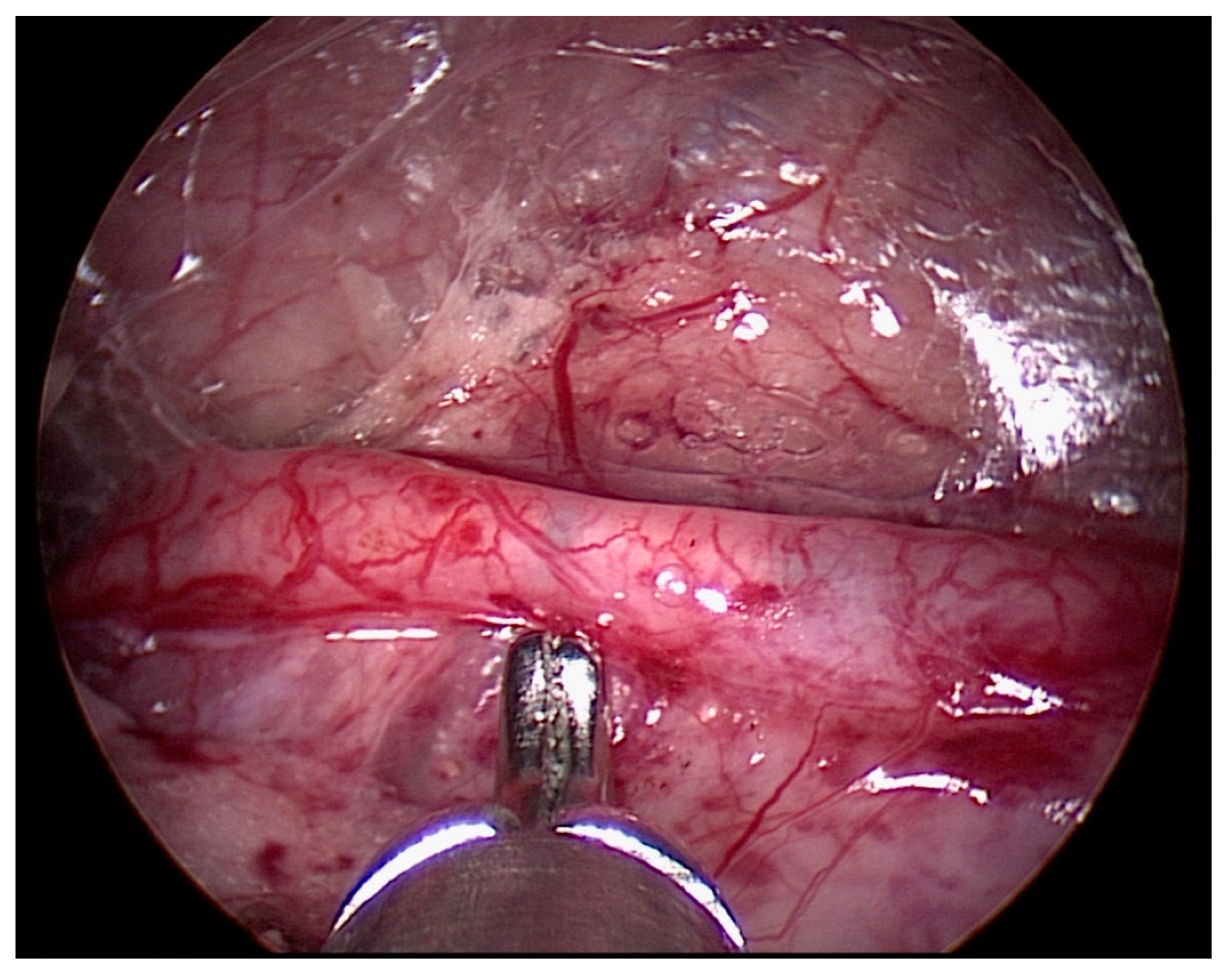 Children 08 00107 g001