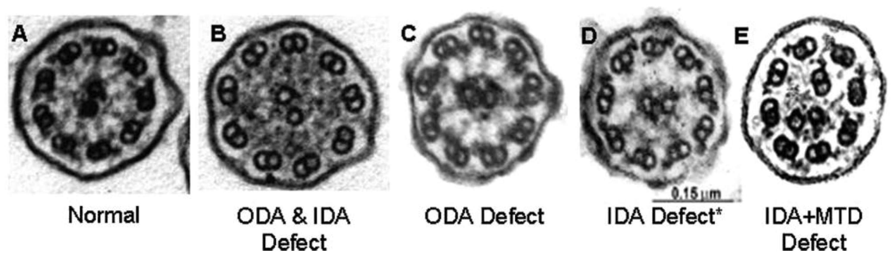 Children 08 00153 g001