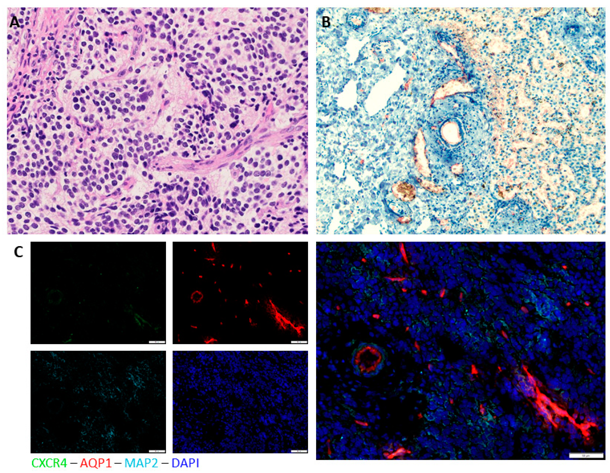 Children 08 00163 g002 Children 08 00163 g002