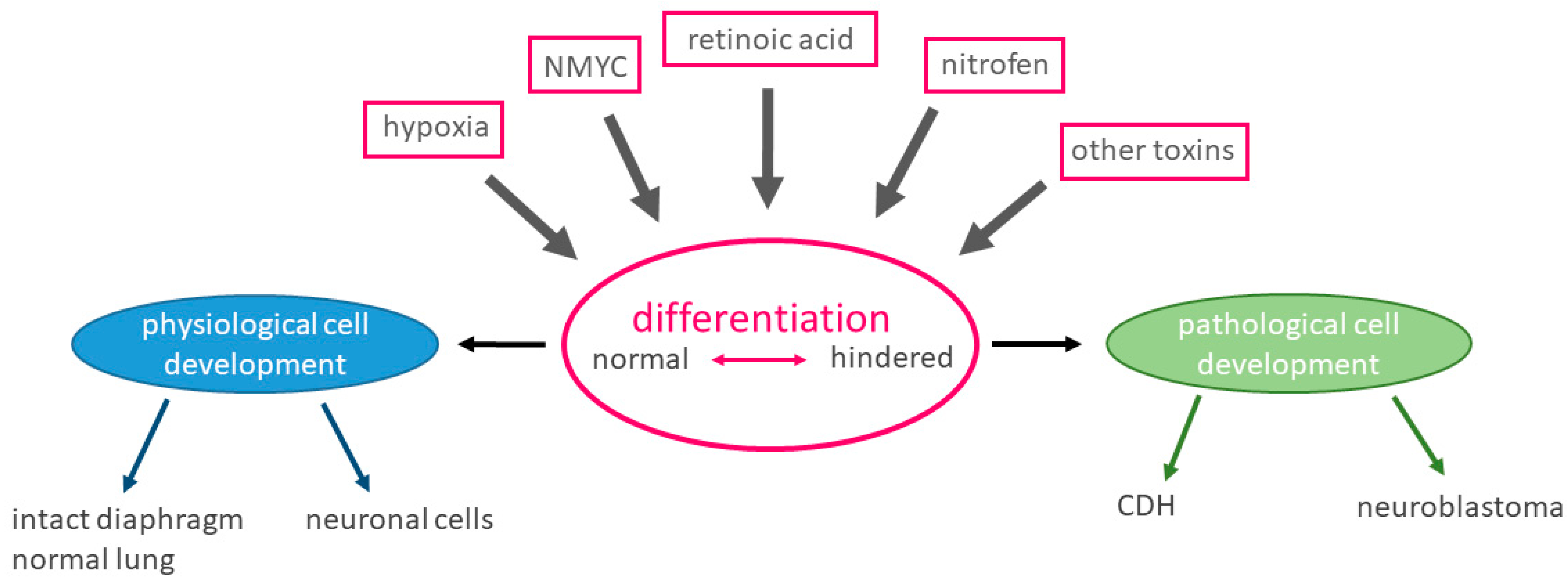 Children 08 00163 g003 Children 08 00163 g003