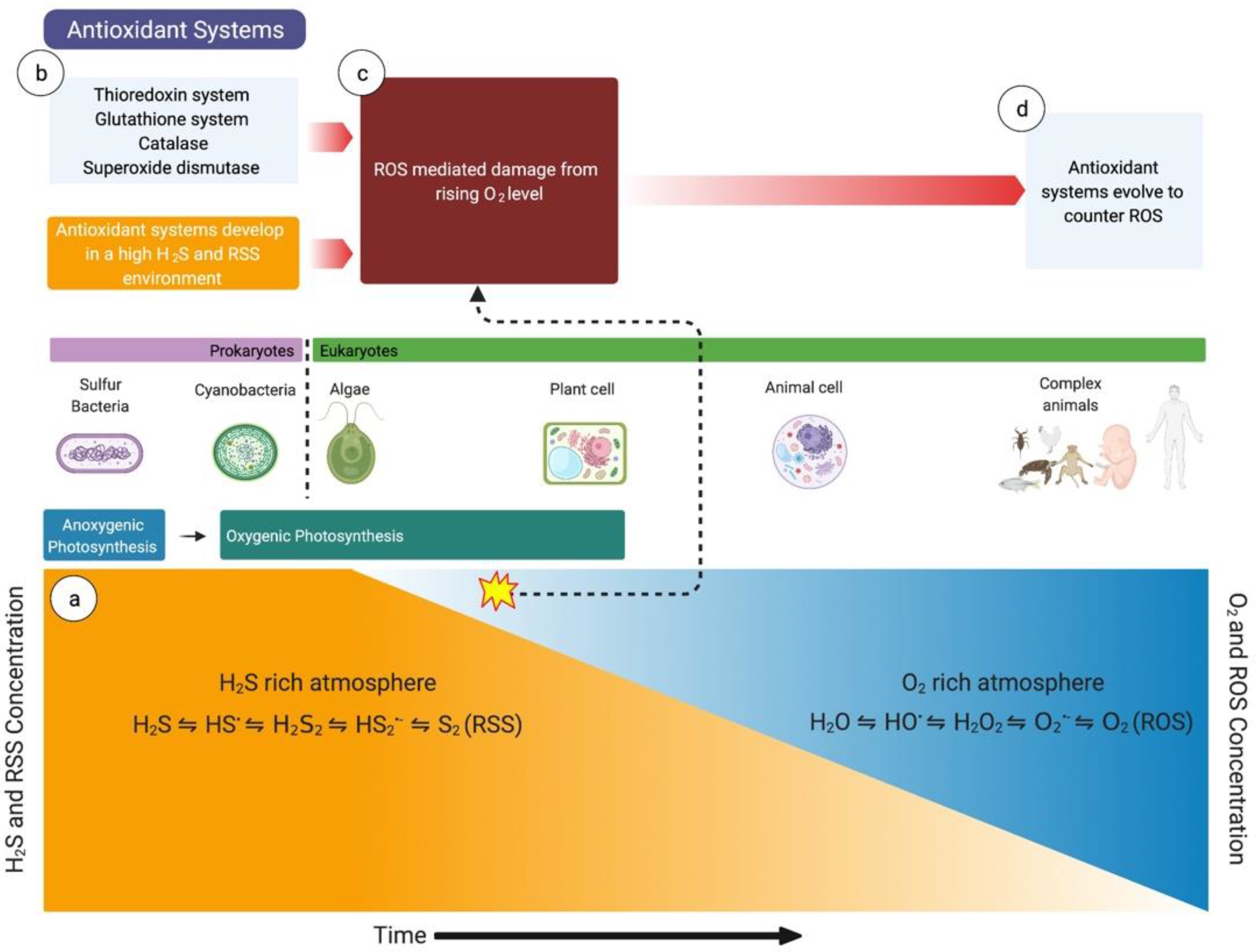 Children 08 00213 g001