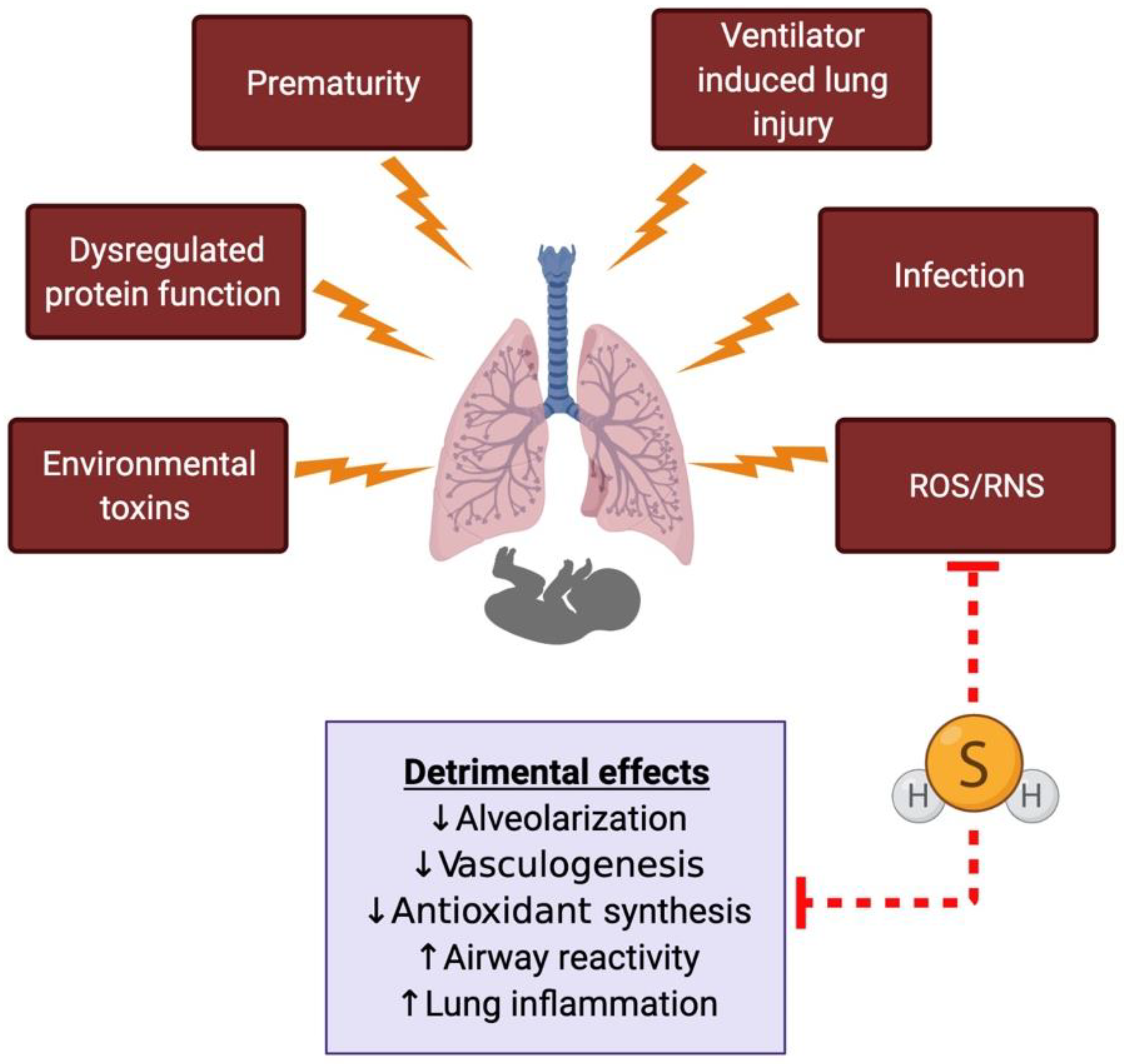 Children 08 00213 g003
