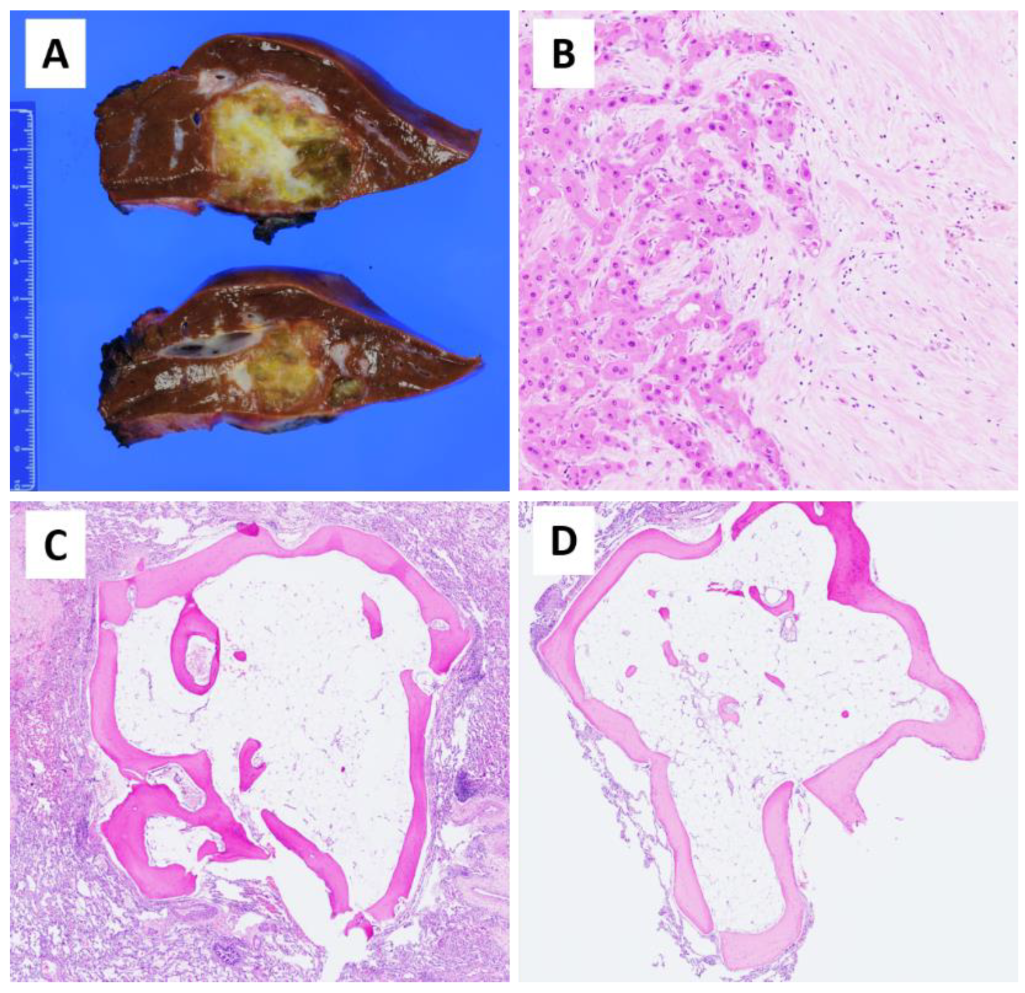 Children 08 00226 g003